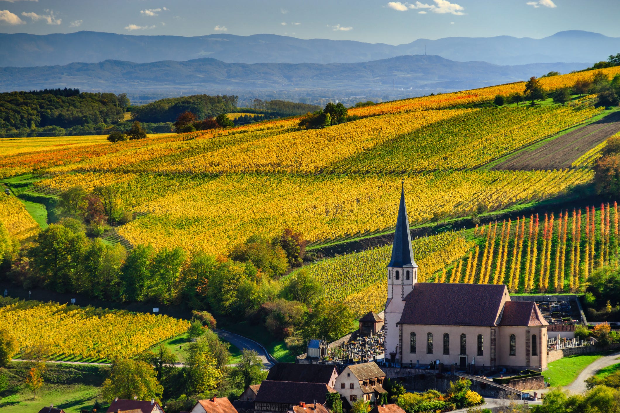 French vineyard: Most beautiful vineyards to visit in France