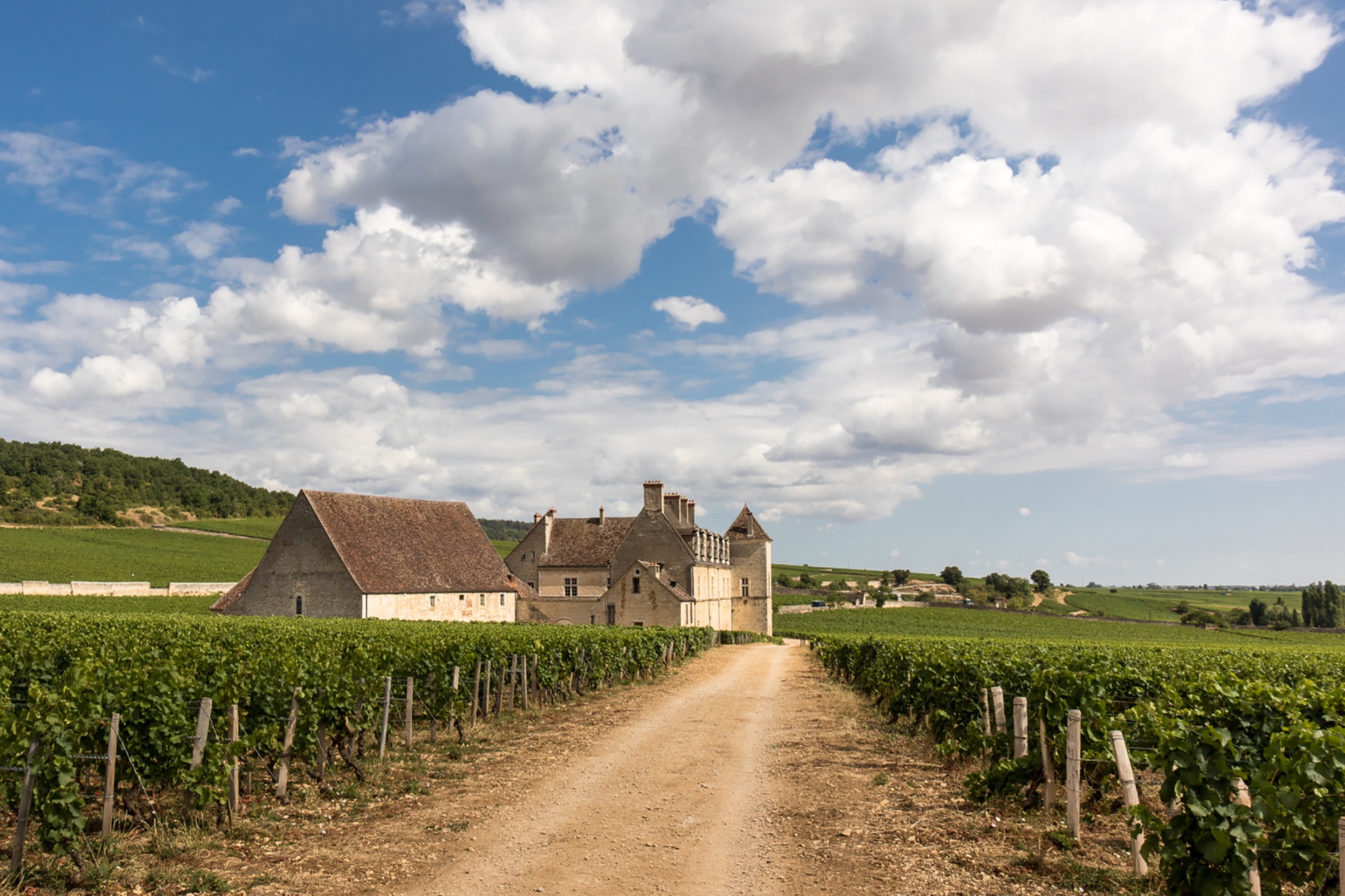 Wallpaper wine, France, Vineyard, Clos Vougeot, Bourgogne, Burgundy for mobile and desktop, section пейзажи, resolution 1920x1280