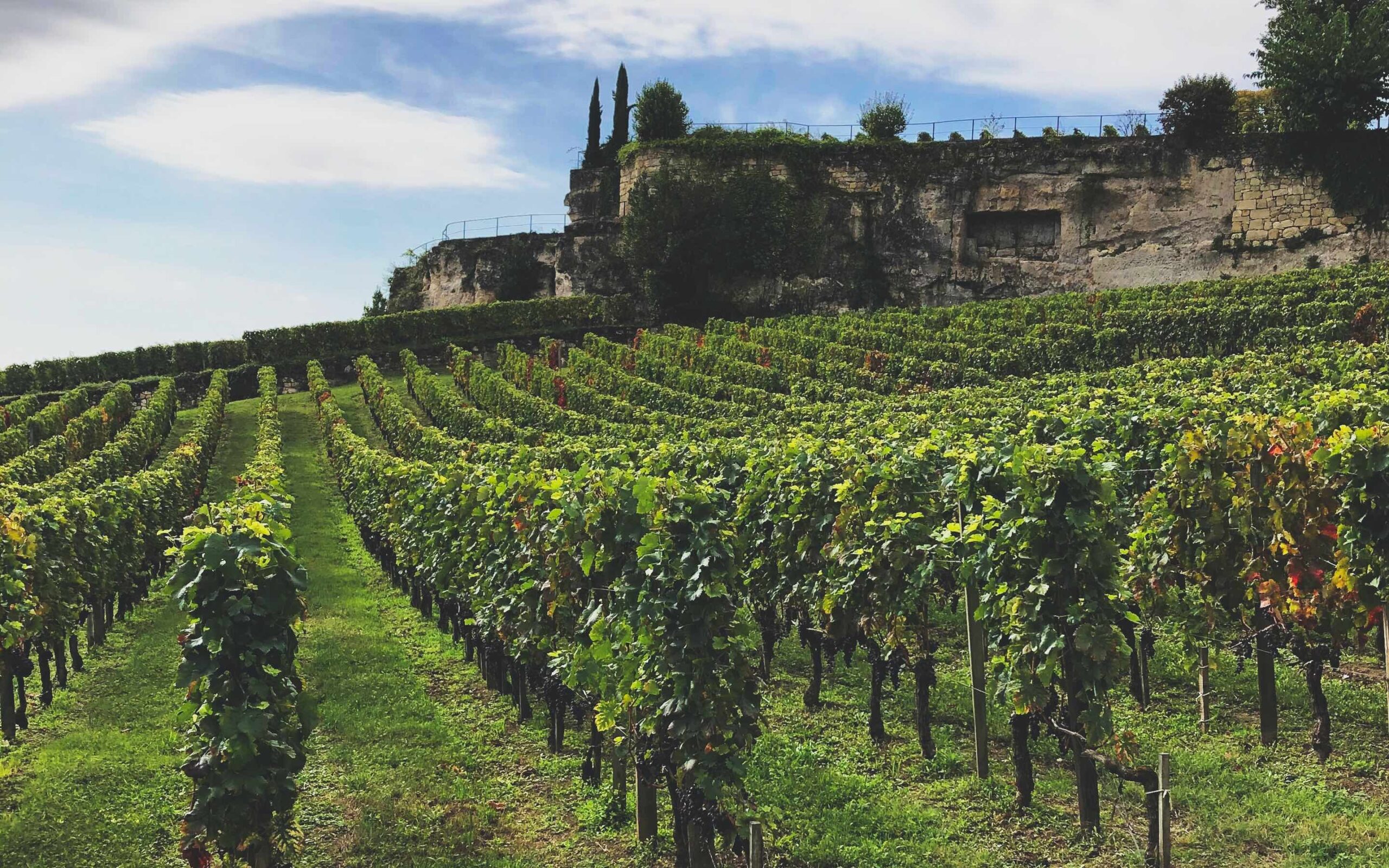 Wine regions of France