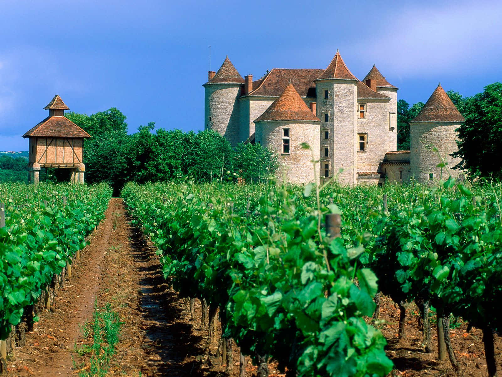Download Château Lagrézette Vineyard Wallpaper