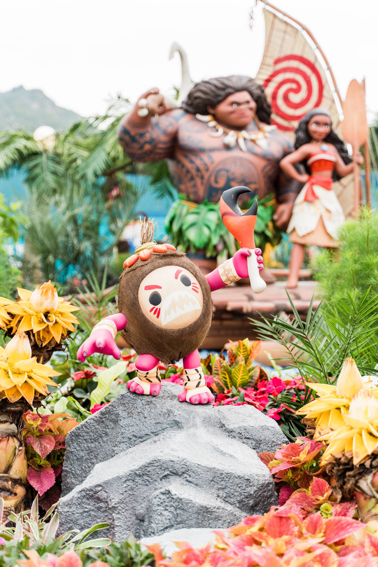 Download Maui Moana Coconut People Wallpaper