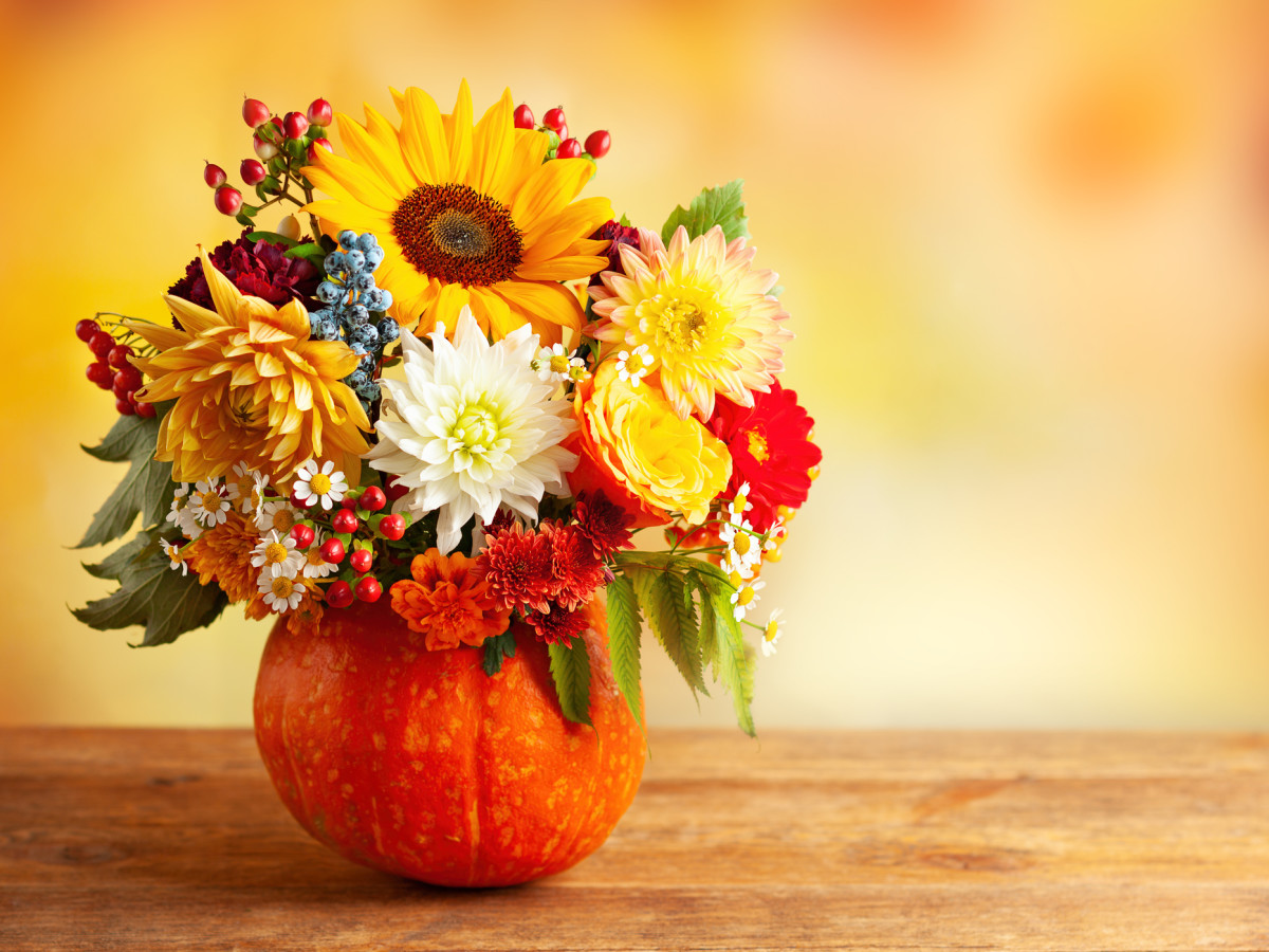 November Birth Flowers: Colors, Symbolism, Tattoos