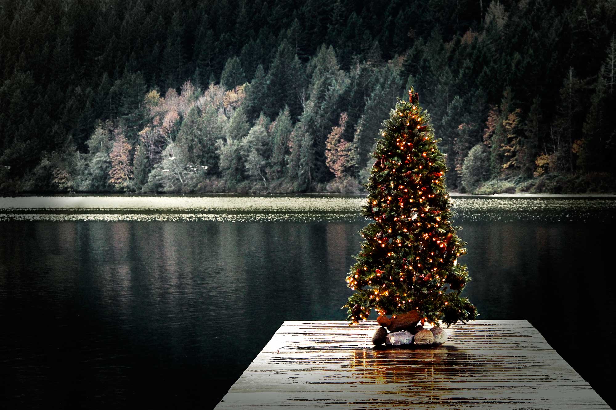 East Tennessee Lake Christmas Tips