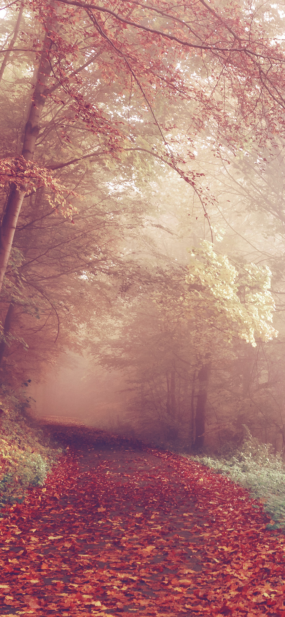 iPhone X wallpaper. fall mountain road romantic red nature