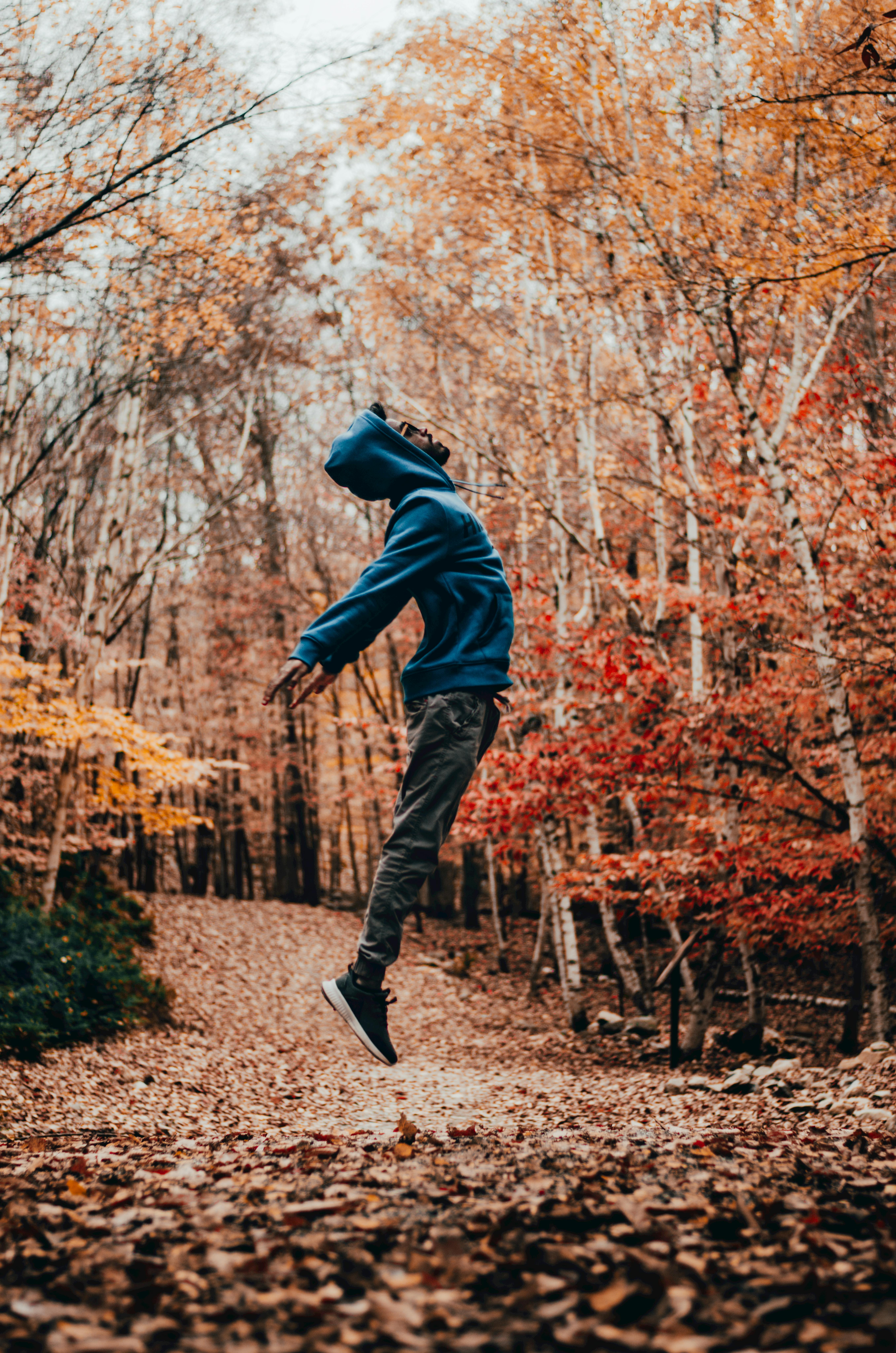 Woman Enjoying Walk in Autumn Park · Free