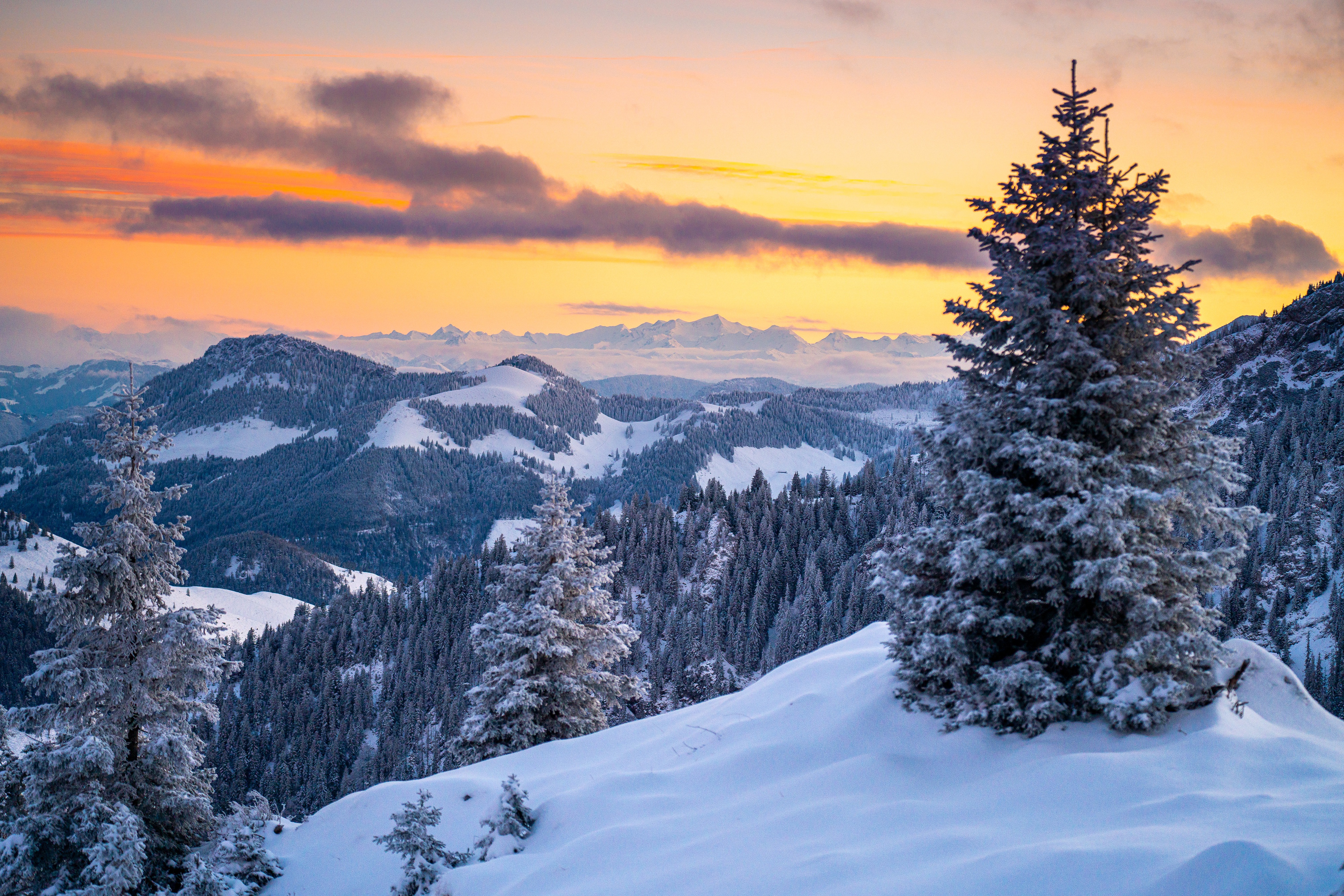 Desktop Winter Landscape Wallpapers - Wallpaper Cave