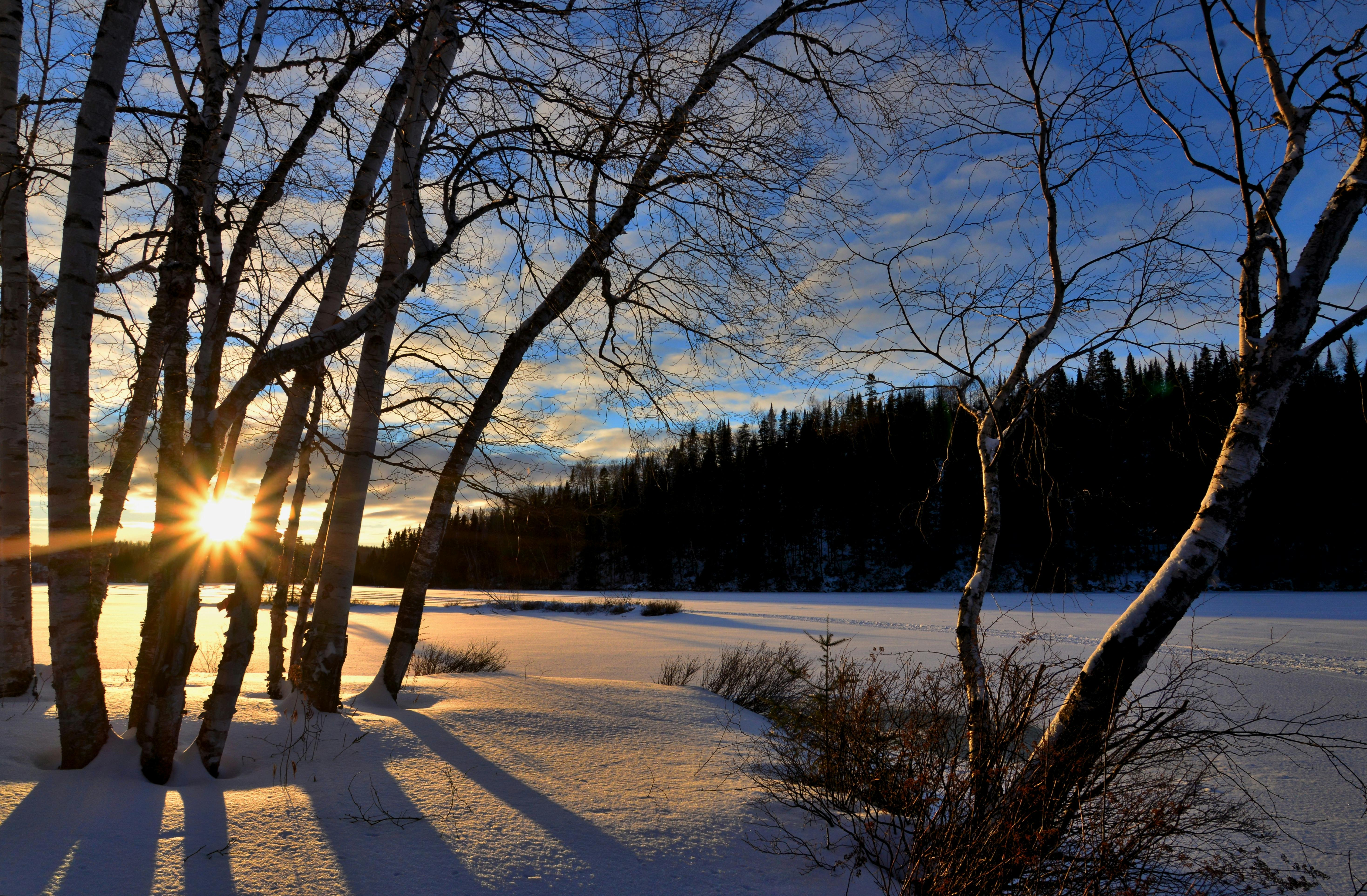 Winter Landscape Photo, Download The BEST Free Winter Landscape & HD Image