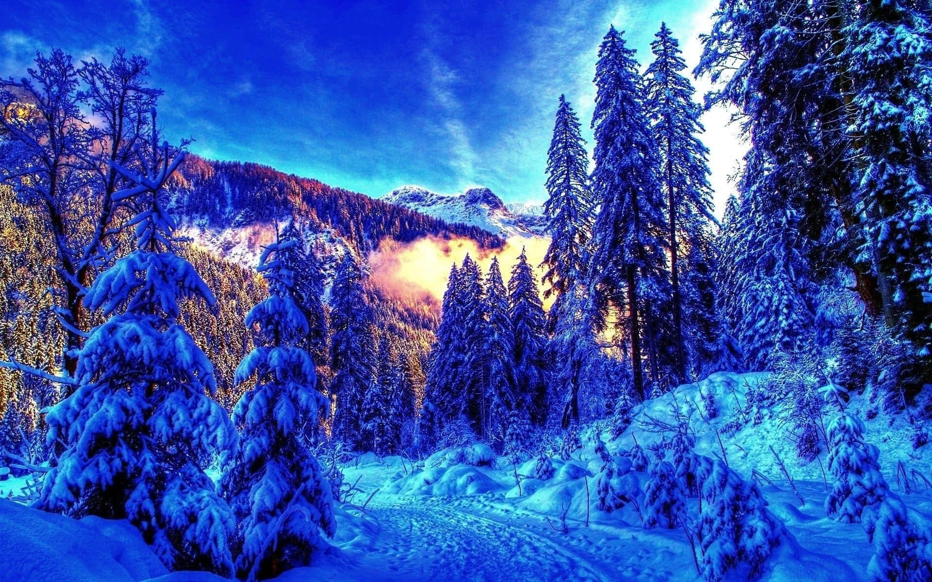 Download Bright Background Of Winter Scenery Of A Snowy Hill