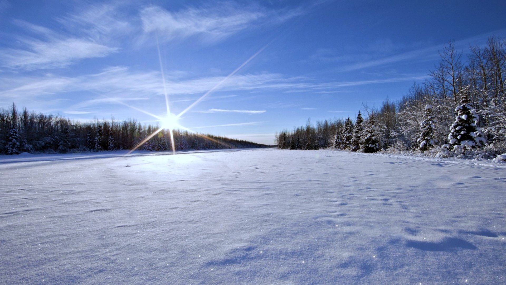 Winter's Radiant Glow: 4K Ultra HD Sunny Snowy Landscape Wallpaper