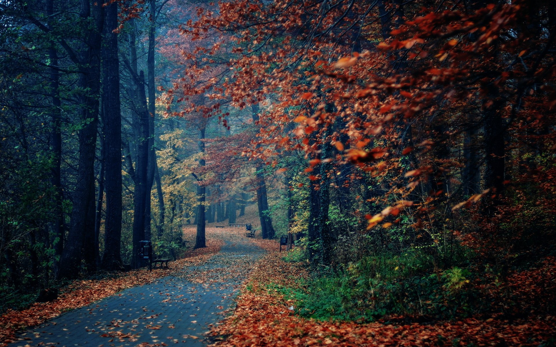Serene Autumn Park Walk