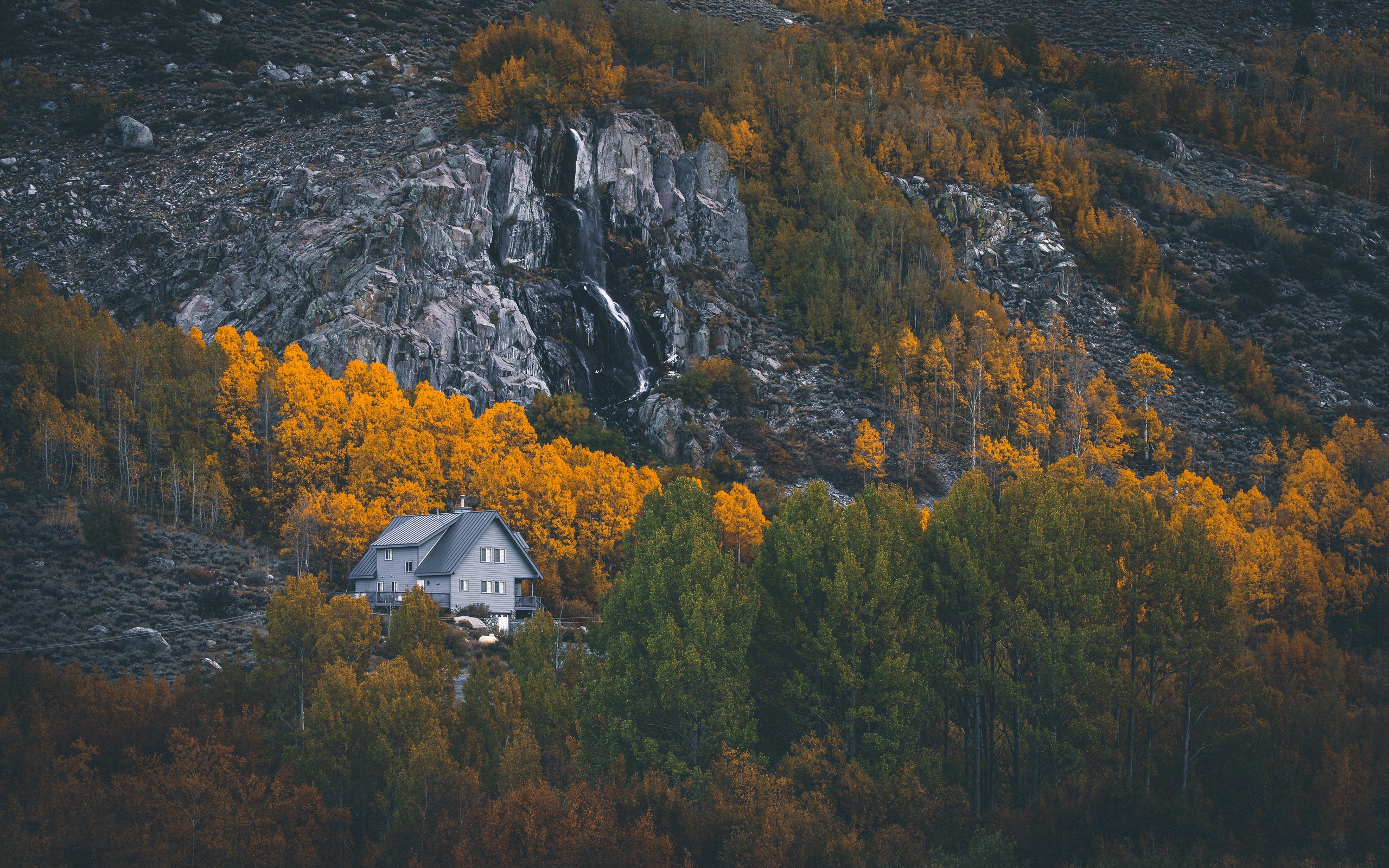 Wallpaper house, forest, trees, autumn, mountains, rocks, landscapes, home for mobile and desktop, section пейзажи, resolution 2560x1600