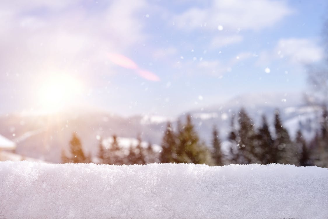 Winter Landscape on a Sunny Day · Free