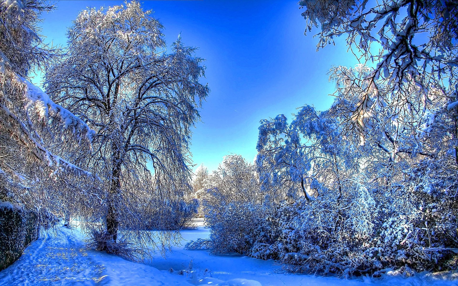 Winter's Embrace: Stunning HD Nature Wallpaper