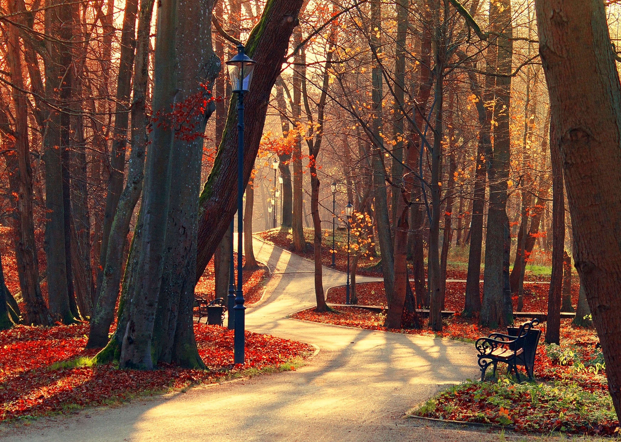 Wallpaper autumn, forest, leaves, trees, bench, nature, Park, view for mobile and desktop, section природа, resolution 2048x1459