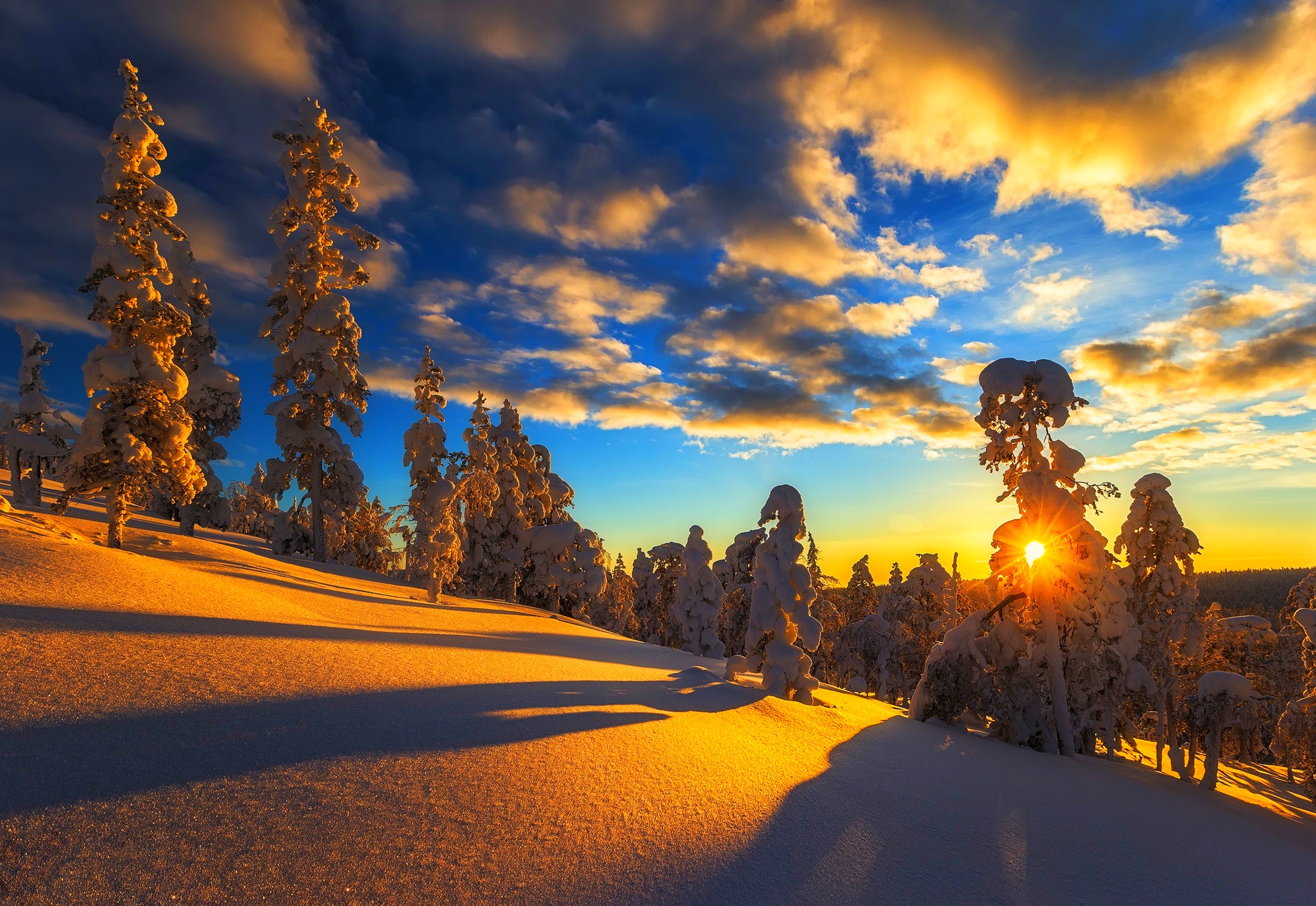 Beautiful sunrise of a bright winter sun over a snowy forest Desktop wallpaper 1152x864