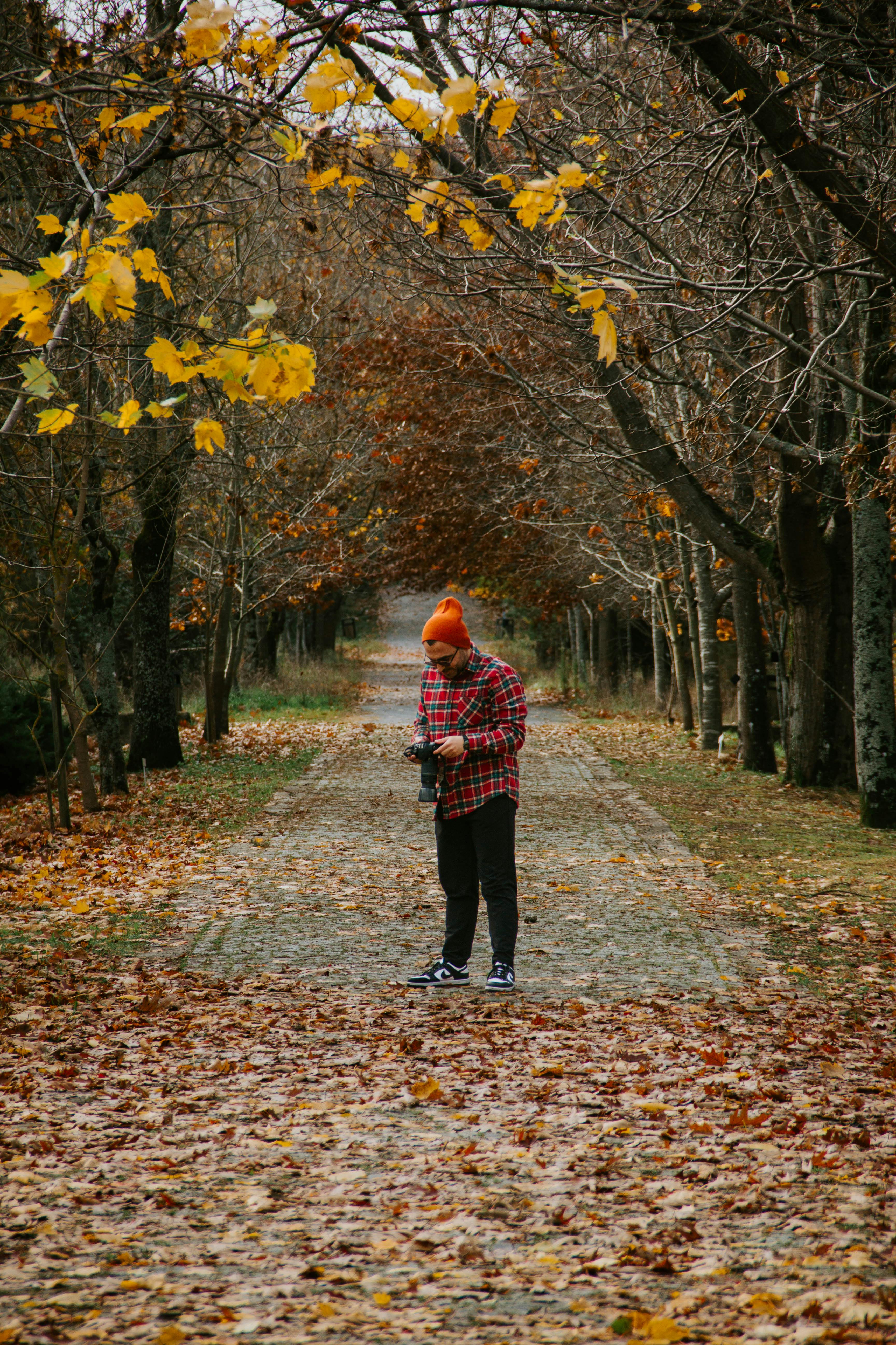 Boy Standing under Tree at Park in Autumn · Free