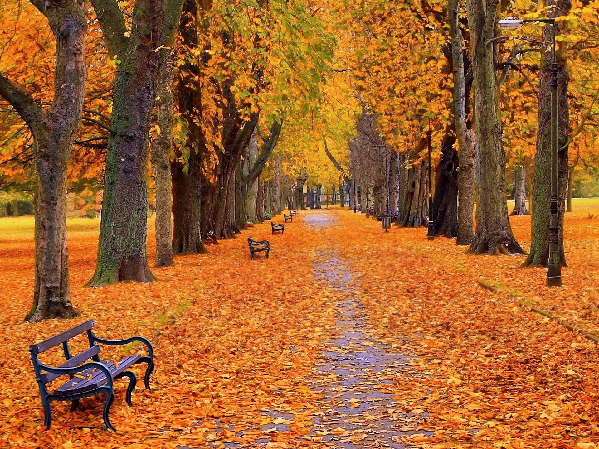 Golden Park Walk