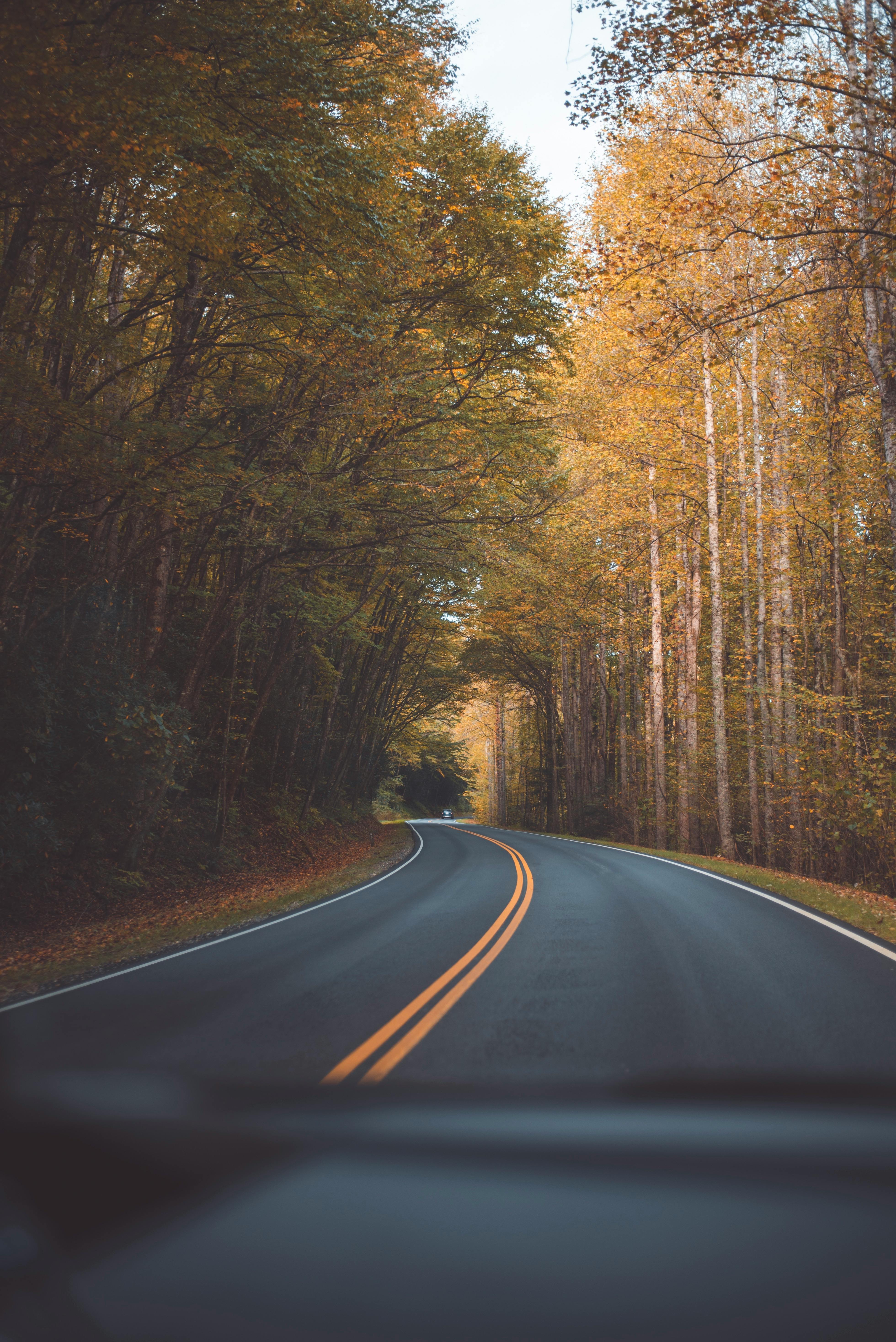 An Empty Road · Free