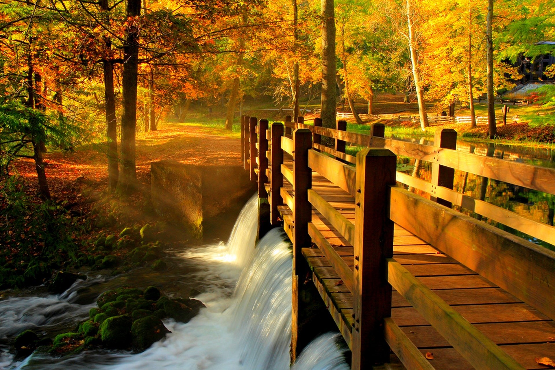 leaves, Park, Alley, Trees, Forest, Autumn, Walk, Hdr, Nature, River, Water, View, Fall, Bridge, Reflection, Leaves, Trees, Forest, Autumn, Walk, Nature, River, Water, View, Walkway, Park, Bridge Wallpaper HD / Desktop and