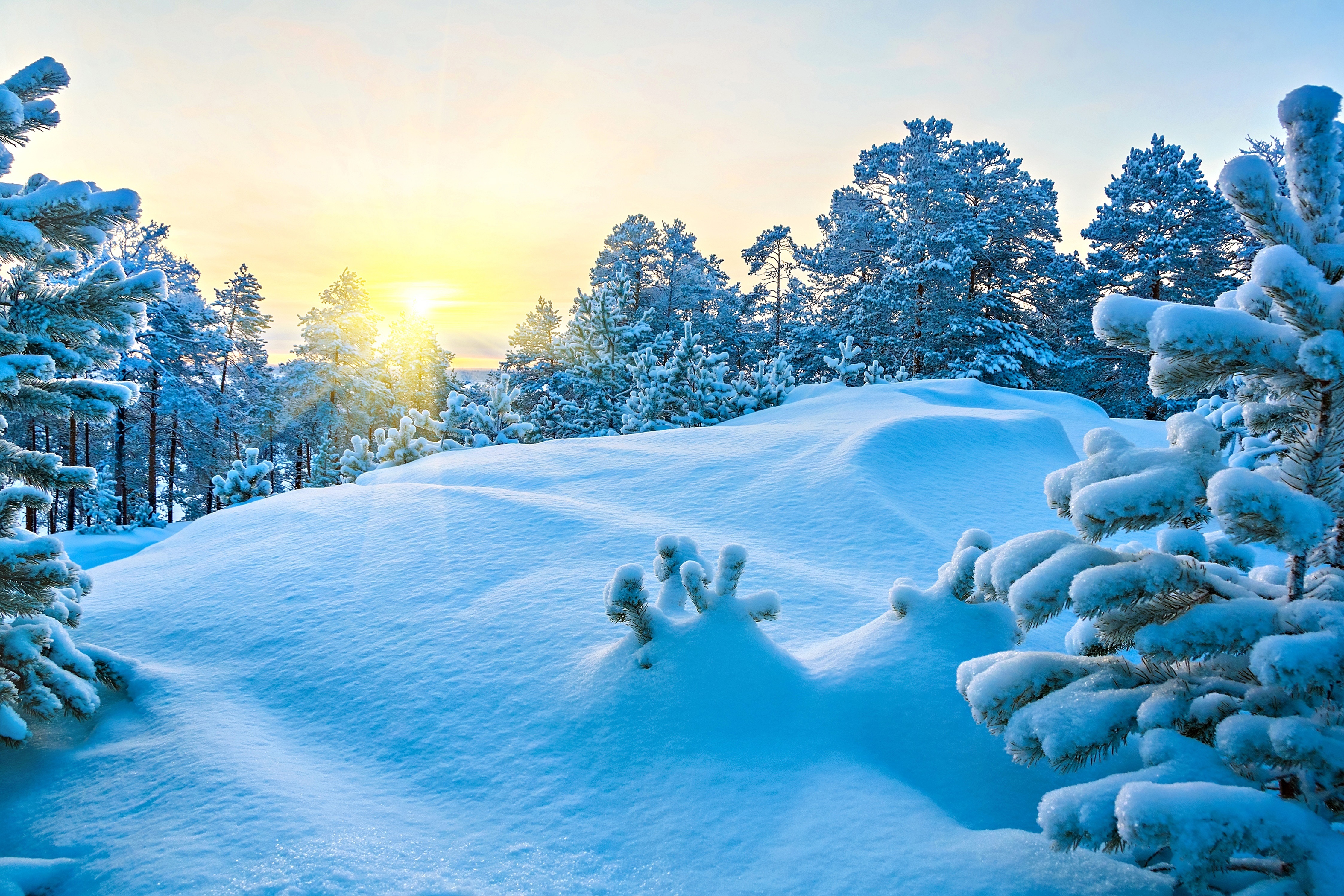 Snow drifts in the forest under the bright winter sun Desktop wallpaper 1400x1050