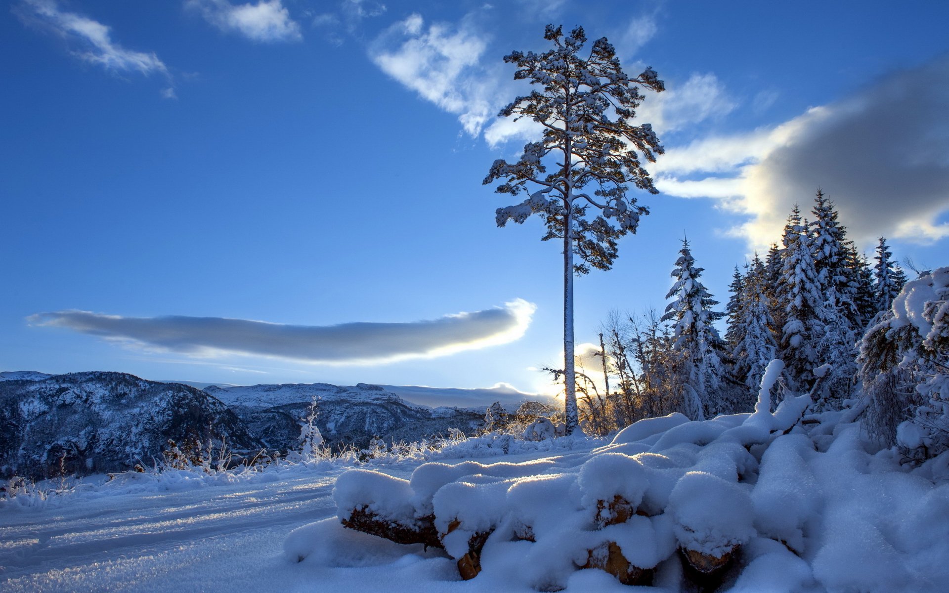Winter Serenity: Stunning HD Nature Wallpaper