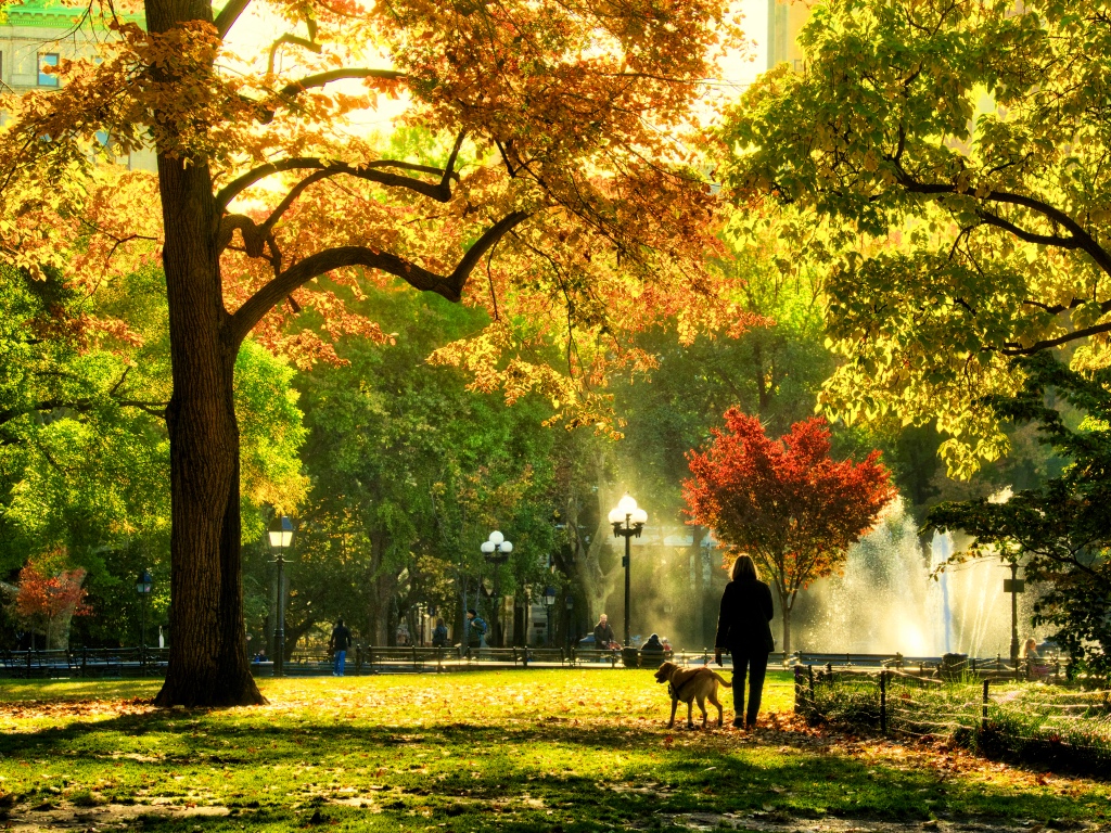 Bring WSP Inside Square Park