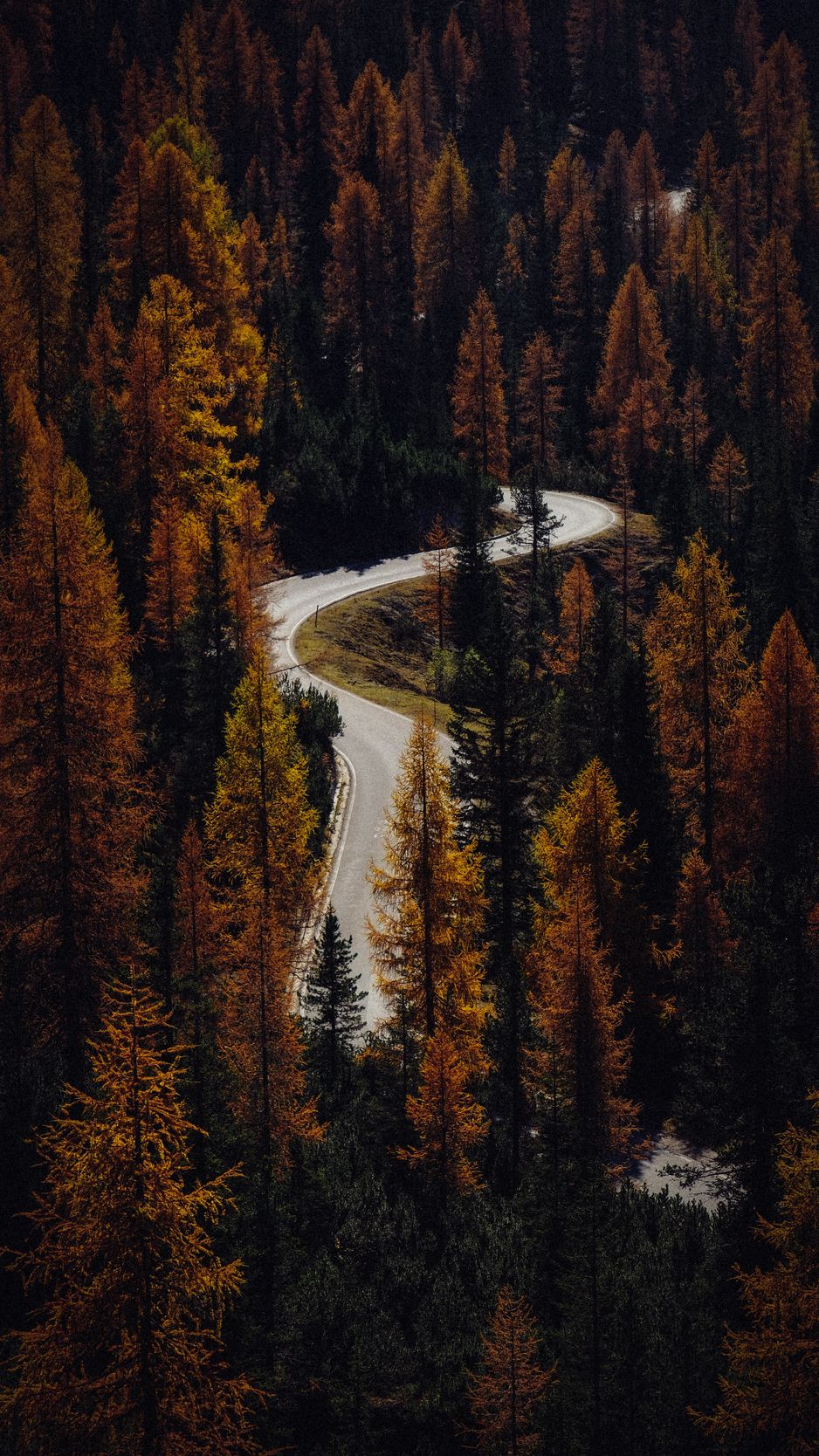 Download Wallpaper 938x1668 Trees, Autumn, Road, Aerial View, Forest Iphone 8 7 6s 6 For Parallax HD Background