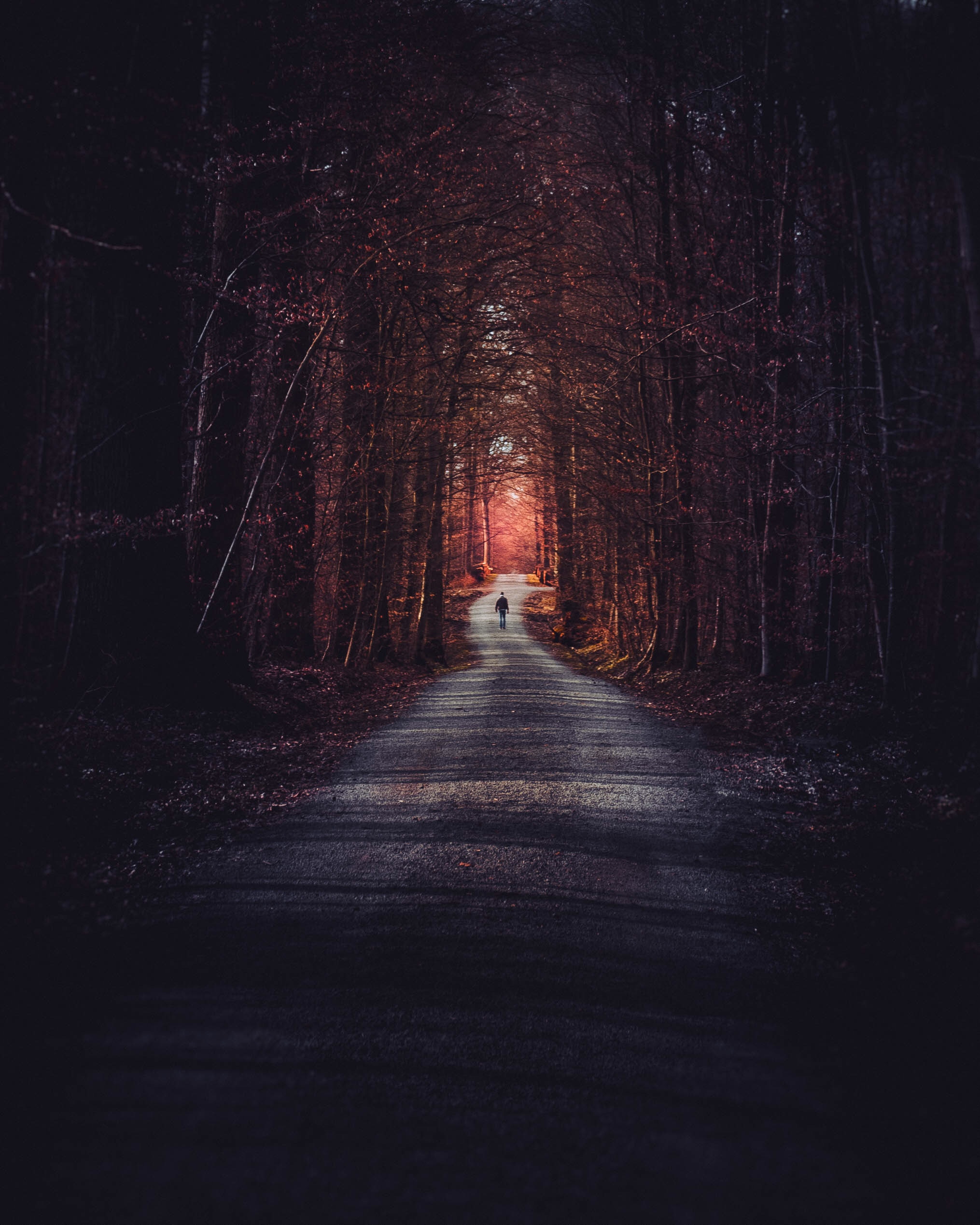 Download wallpaper 2030x2538 park, solitude, autumn, arch, walk HD background