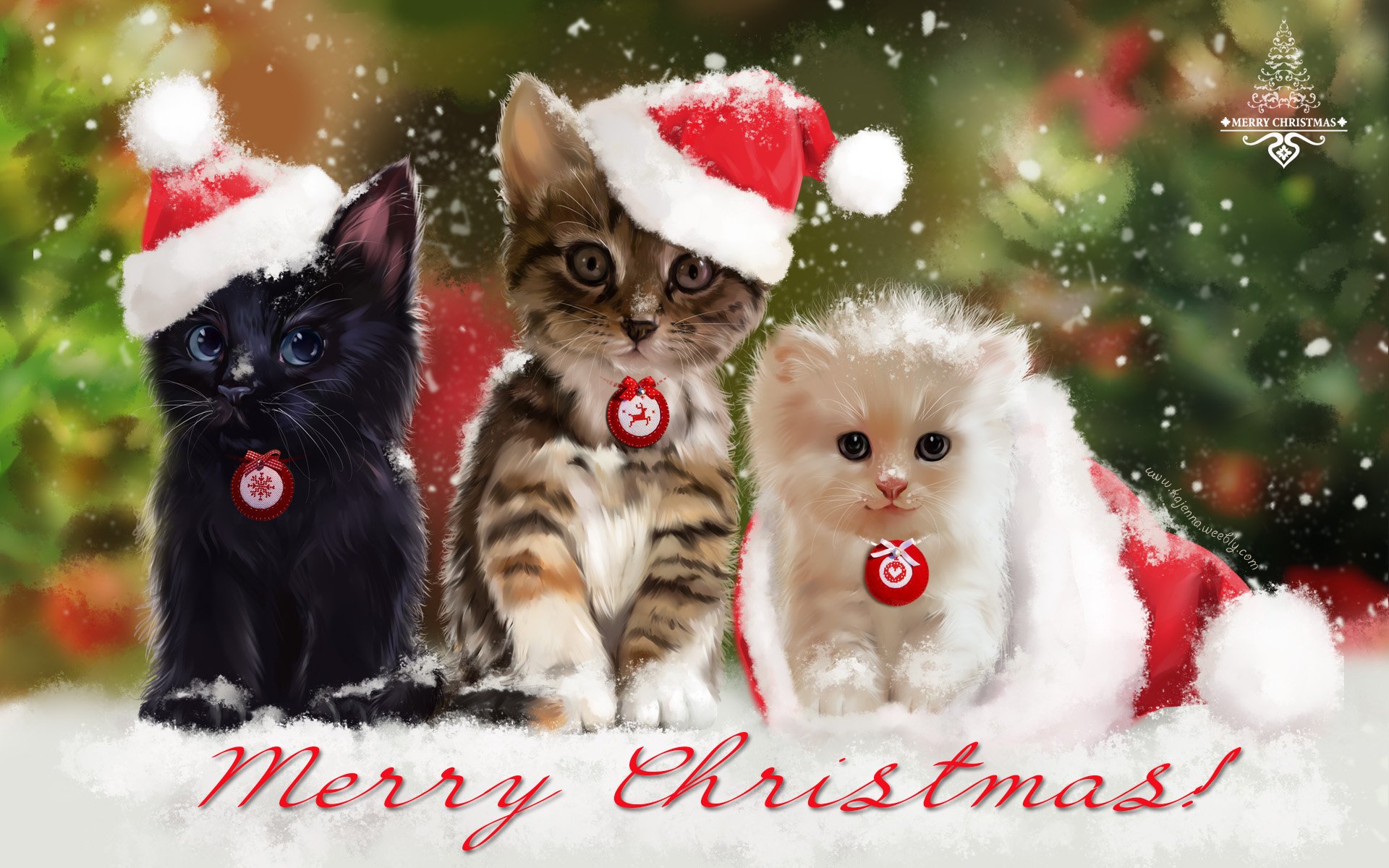 Cute Cats in Santa Hats Christmas HD Wallpaper**