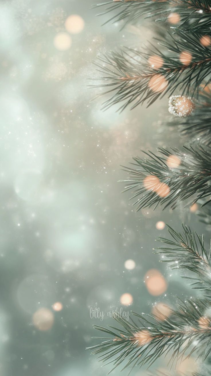 New Collection: Christmas Light Free Phone Wallpaper!