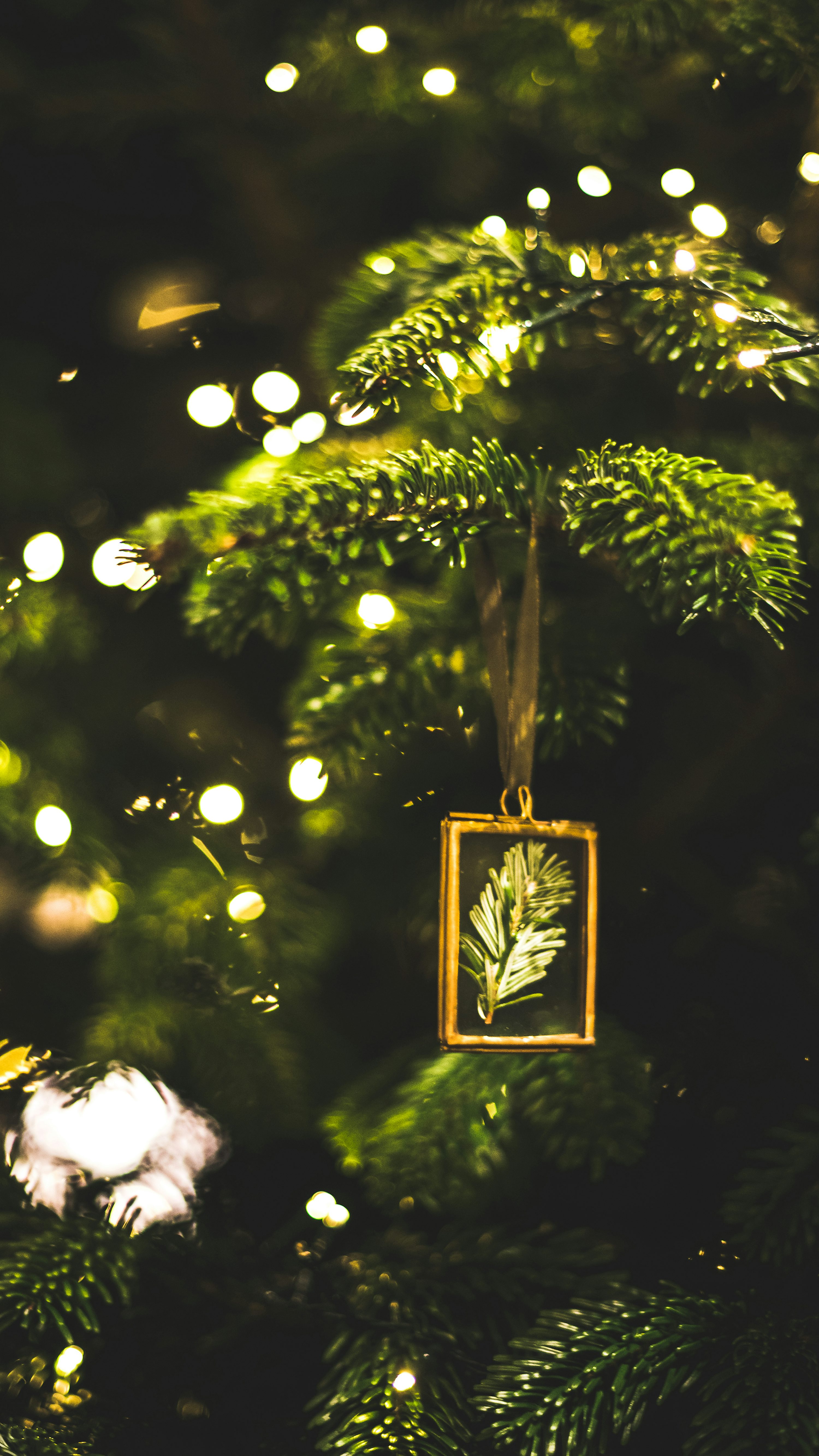 Green Christmas tree decor photo