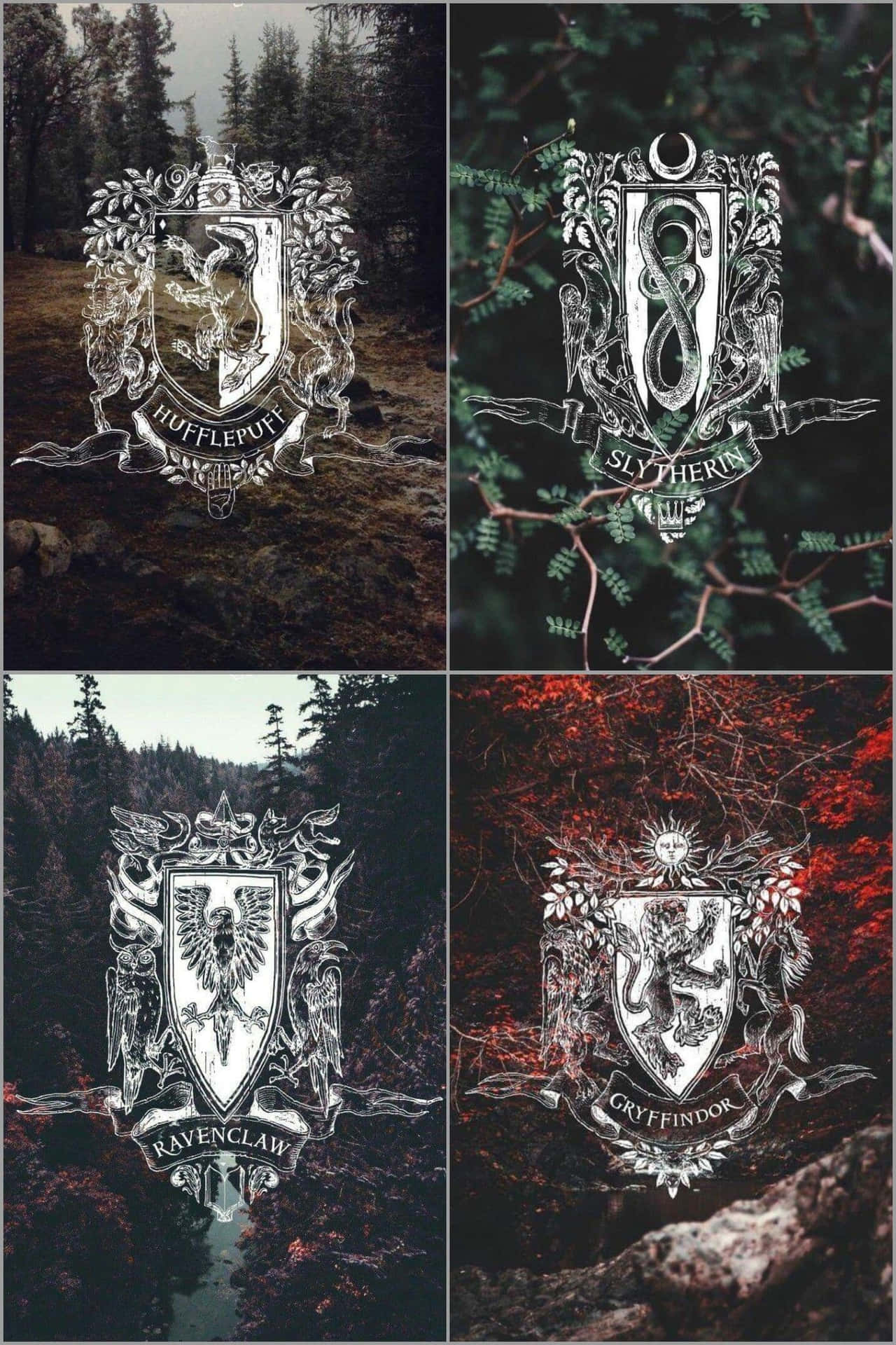 Download The Hogwarts Houses Potter's Magical Universe Wallpaper