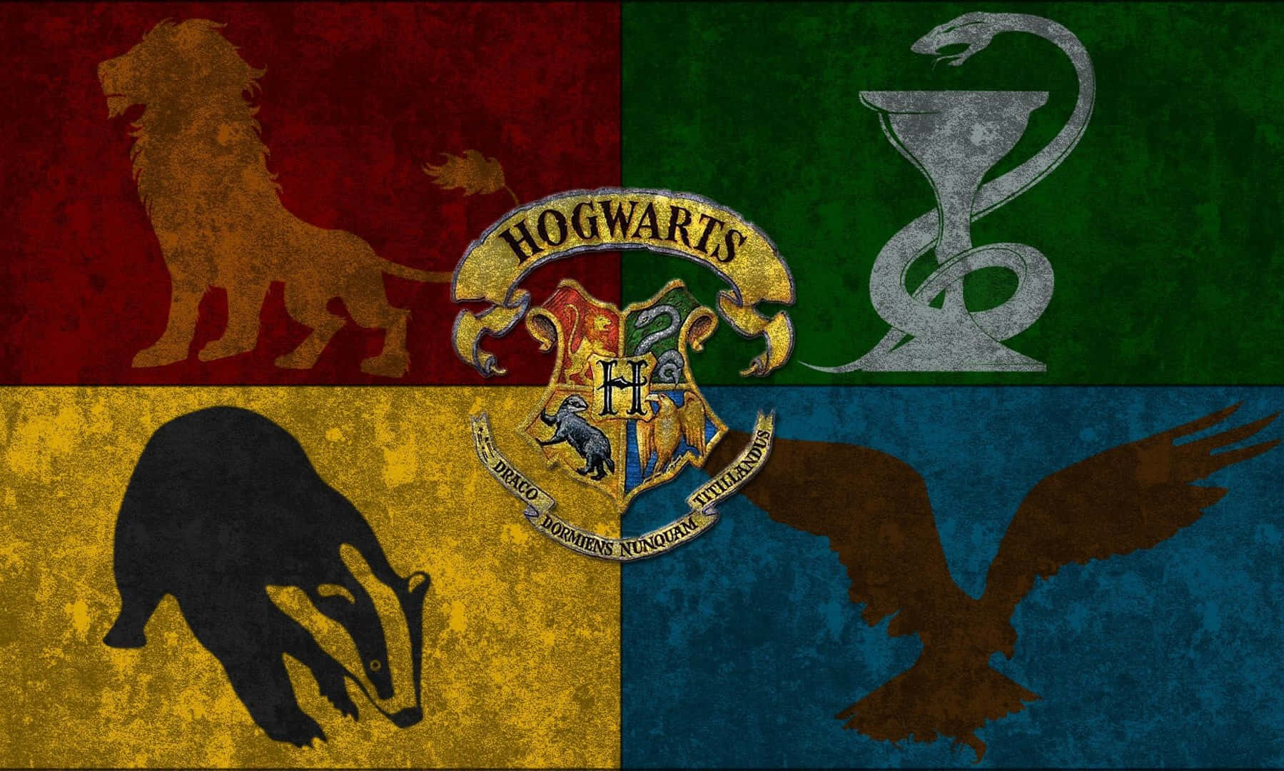 Download Four Houses, One Hogwarts Wallpaper