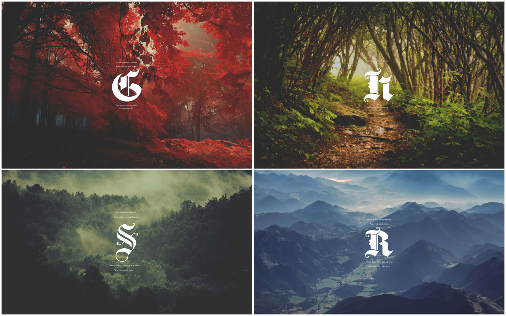 Download Representing the 4 Houses of Hogwarts Wallpaper