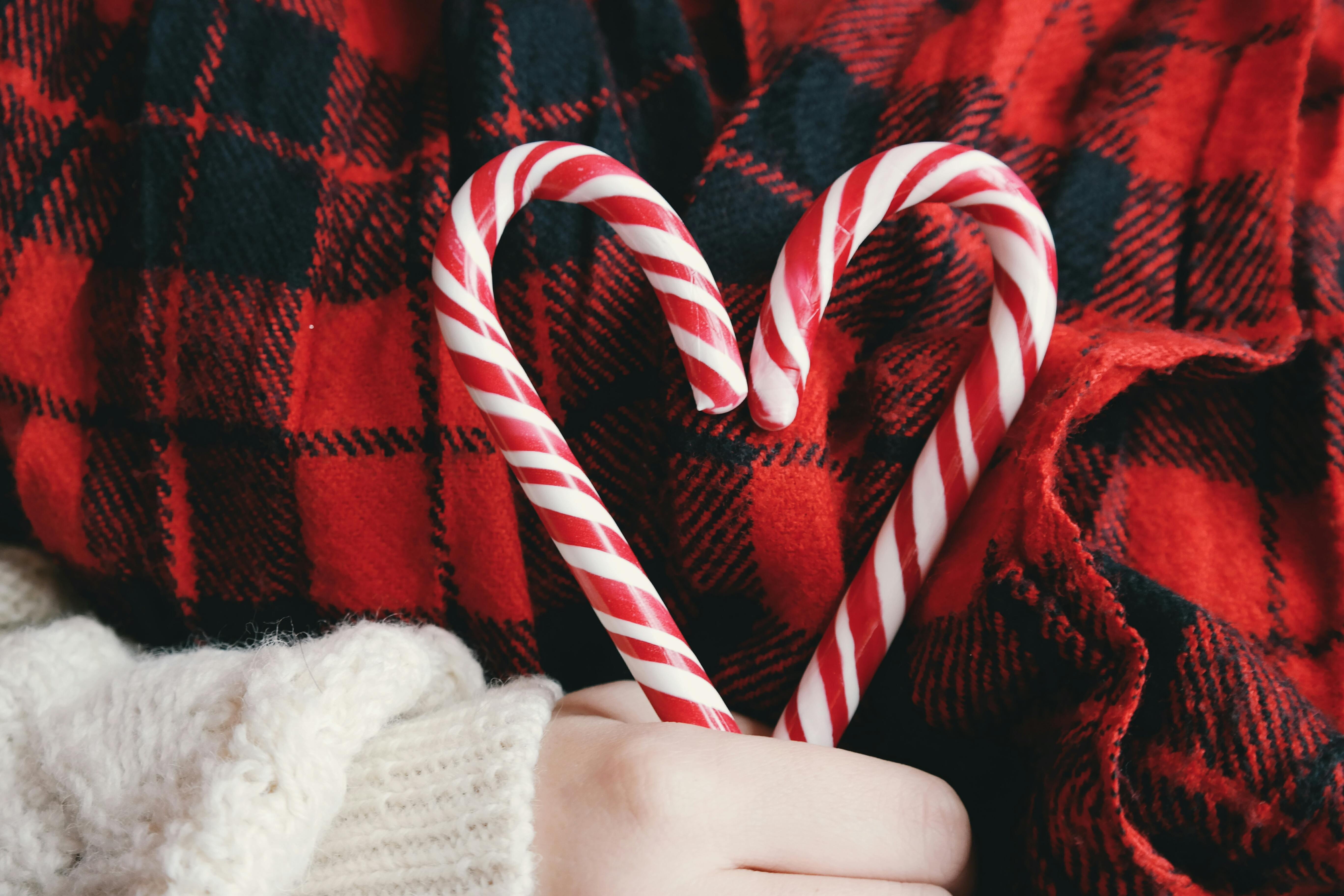 Candy Cane Photo, Download The BEST Free Candy Cane & HD Image