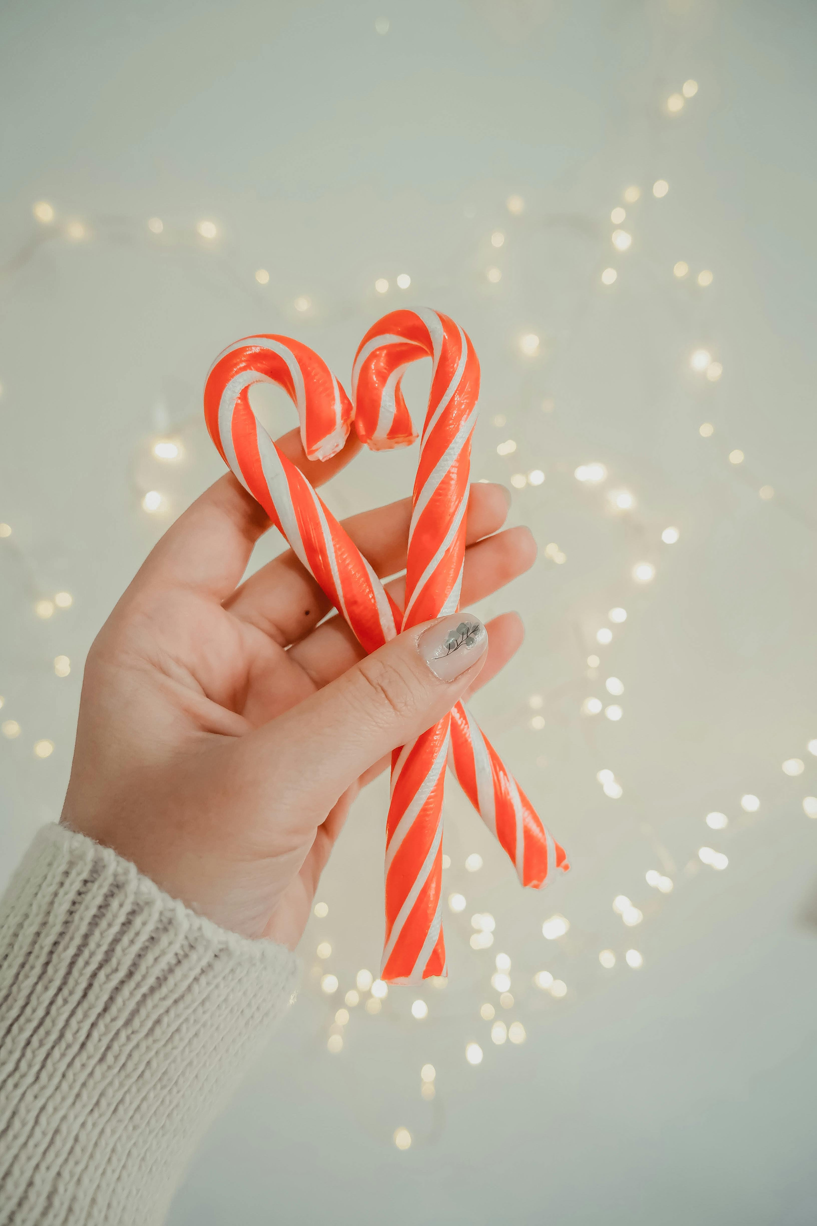 A Person holding Candy Canes · Free
