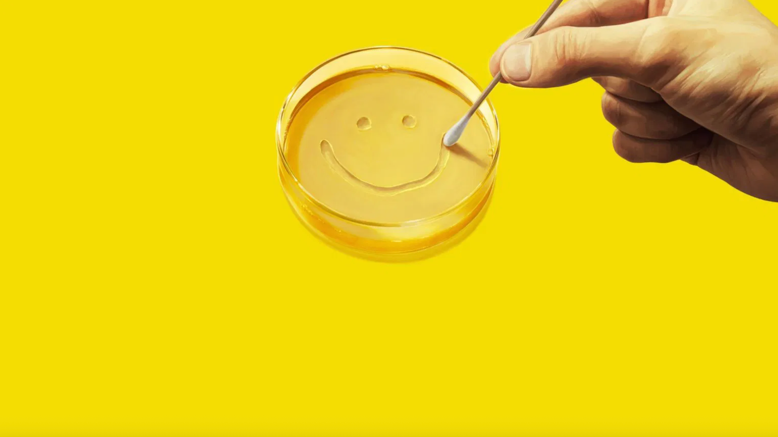 Vince Gilligan: Pluribus Was Inspired By Quasi Legit Science And Caribbean Fish