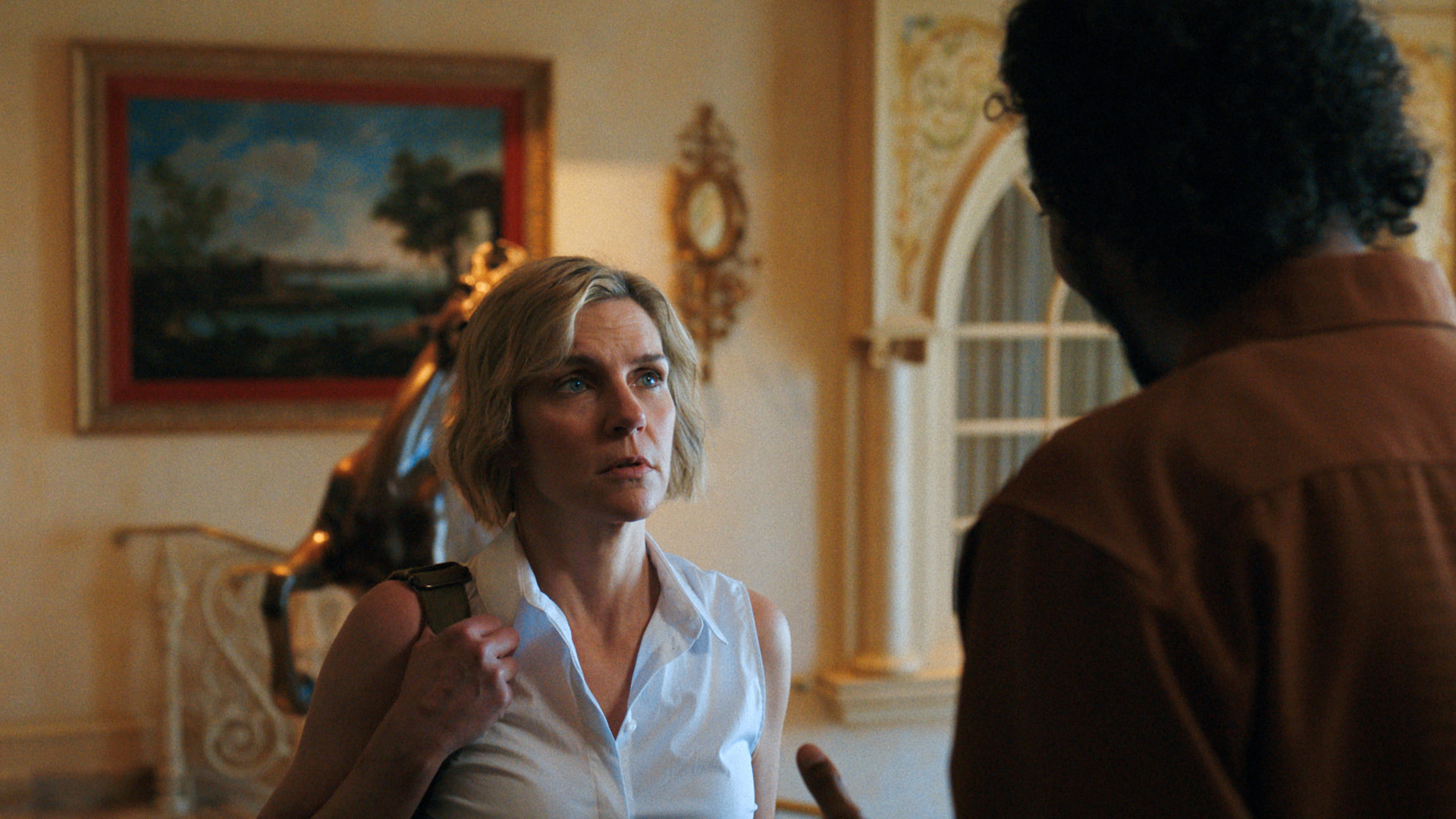 Pluribus & Image TV Press