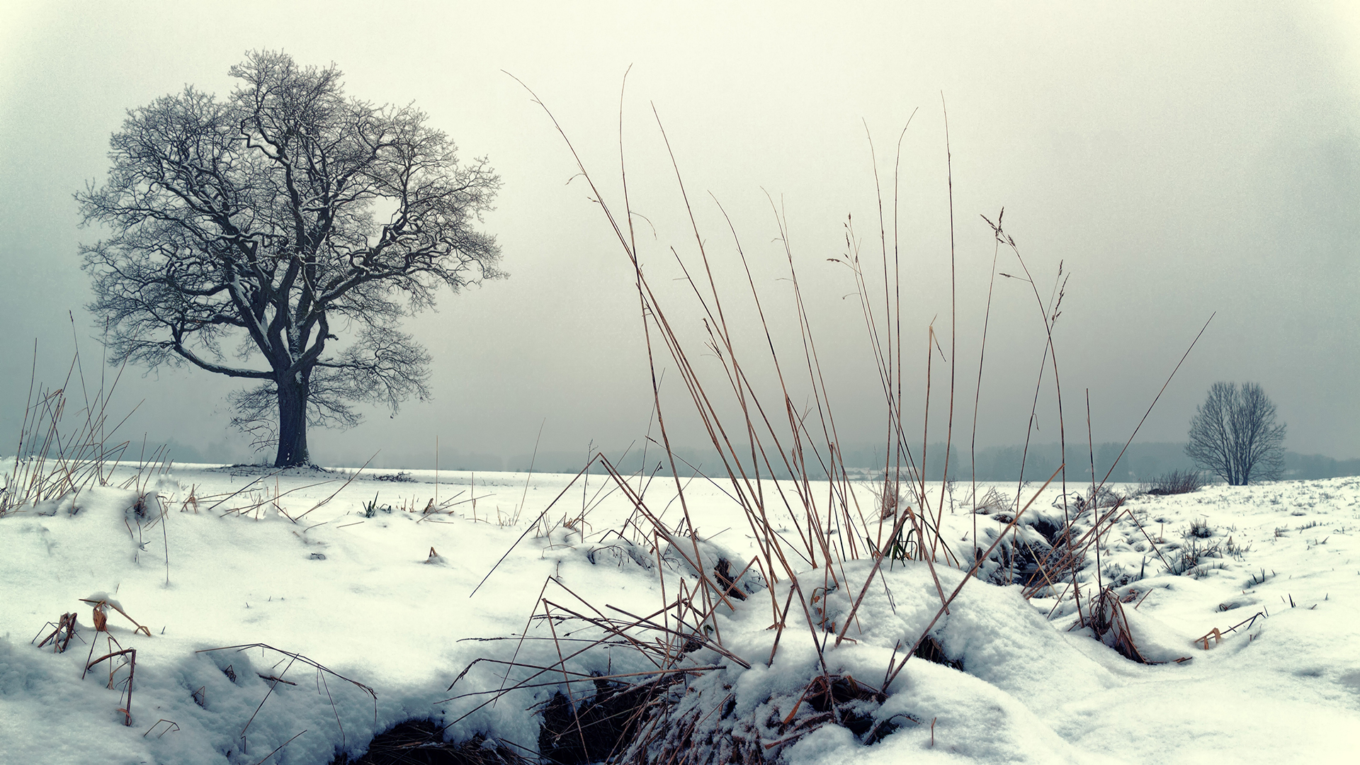 Cold Winter Wallpaper For Chromebook