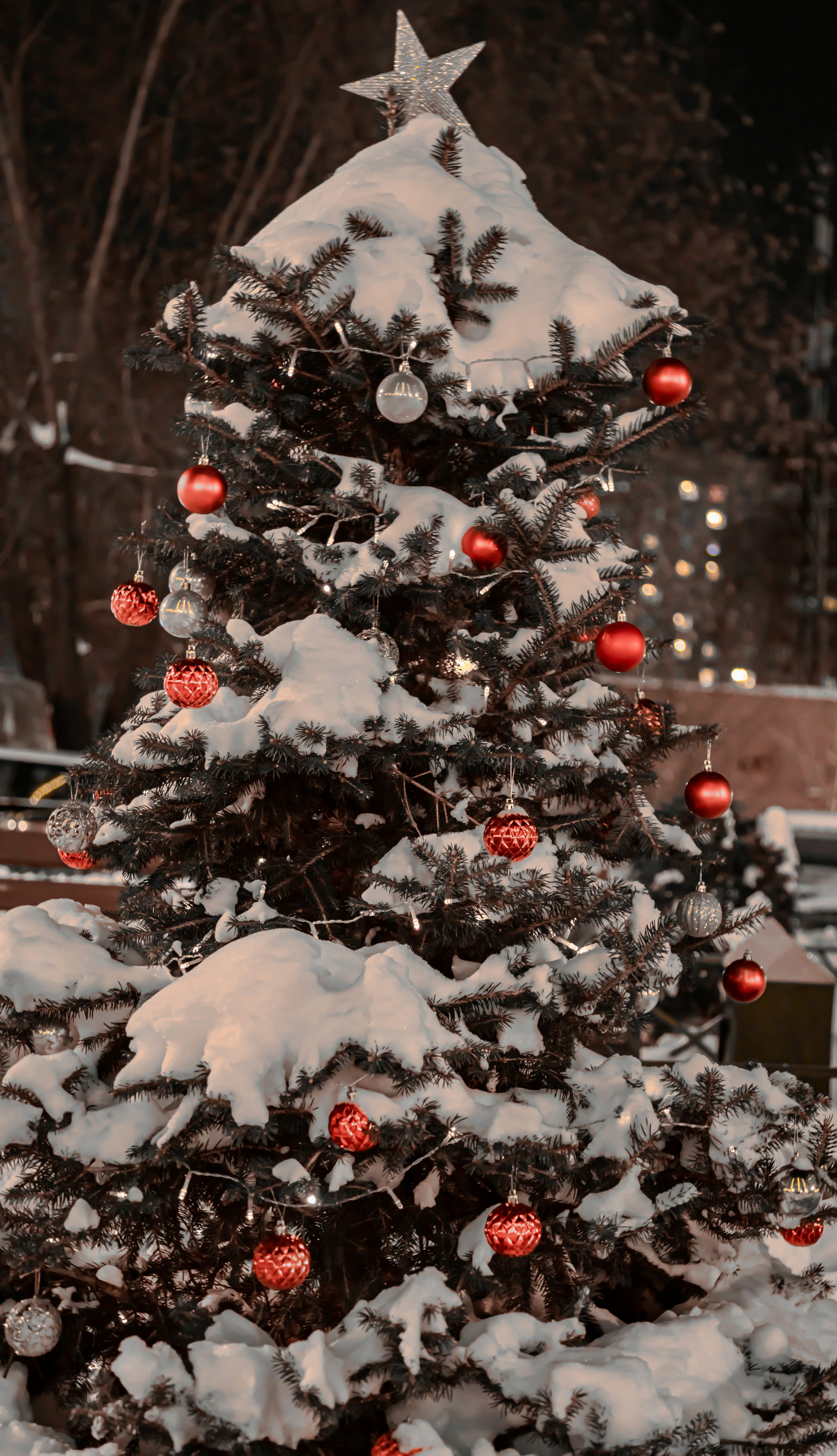A small christmas tree is covered in snow photo