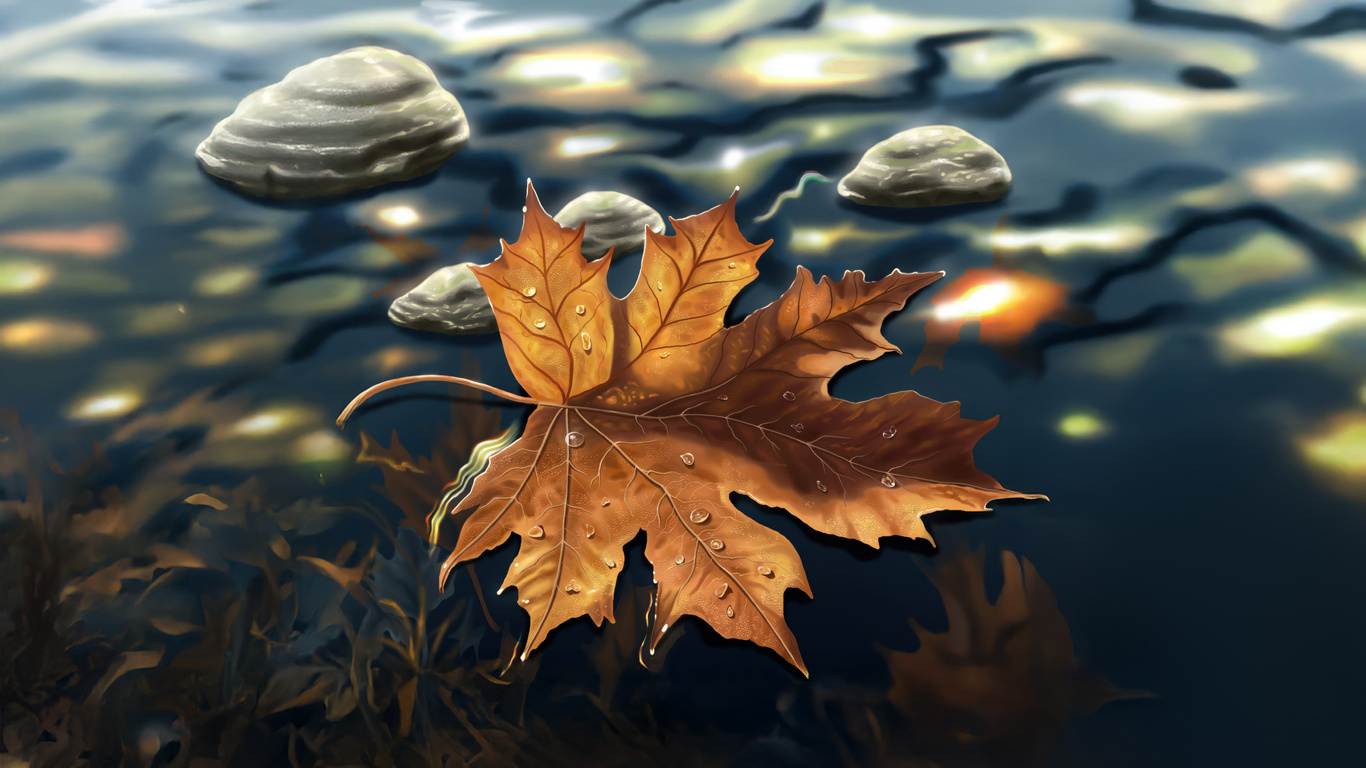 Autumn Leaf On Water Laptop HD , HD 4k Wallpaper, Image, Background , Photos and Picture