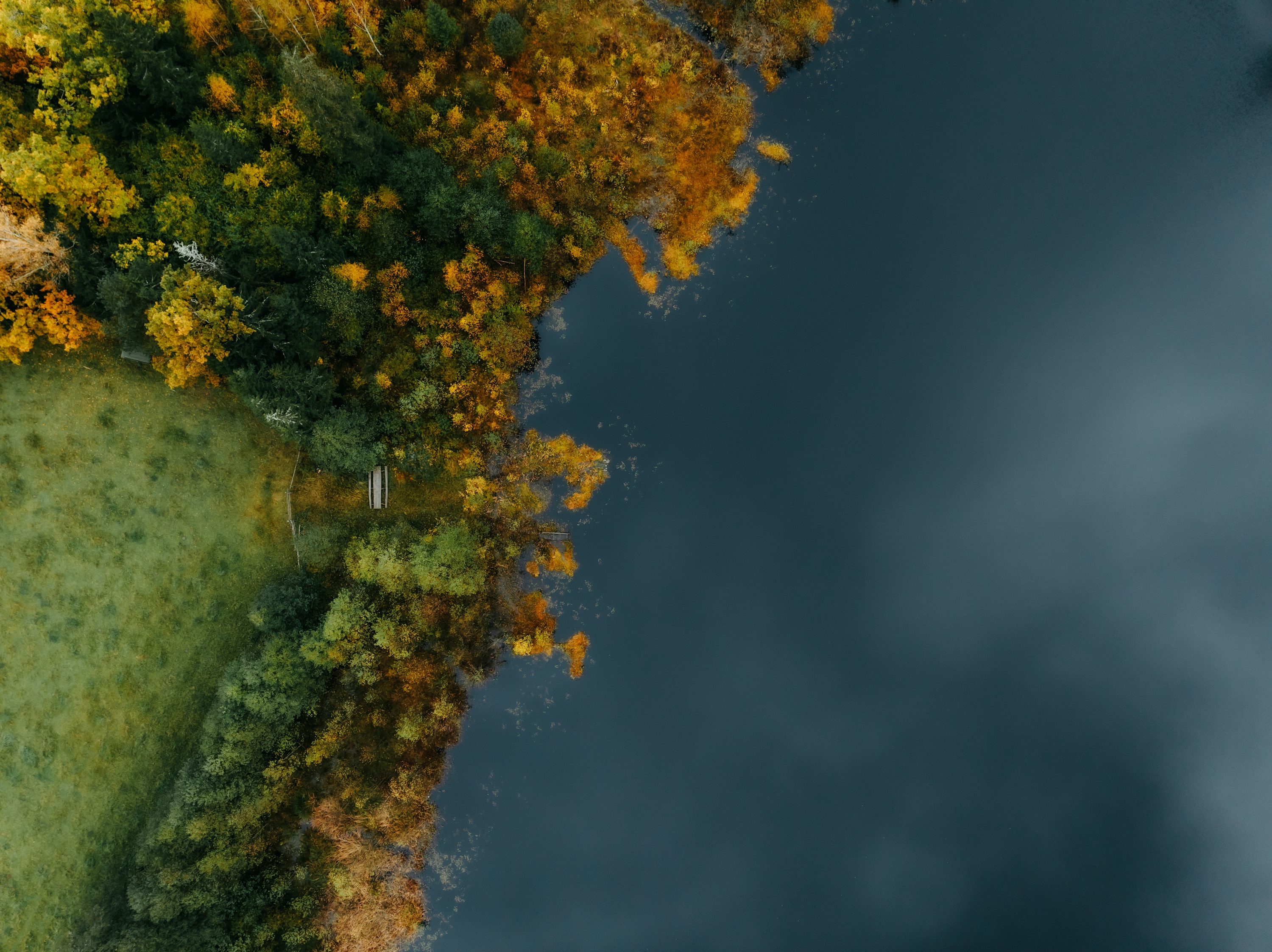 Autumn trees line a calm, dark body of water. photo