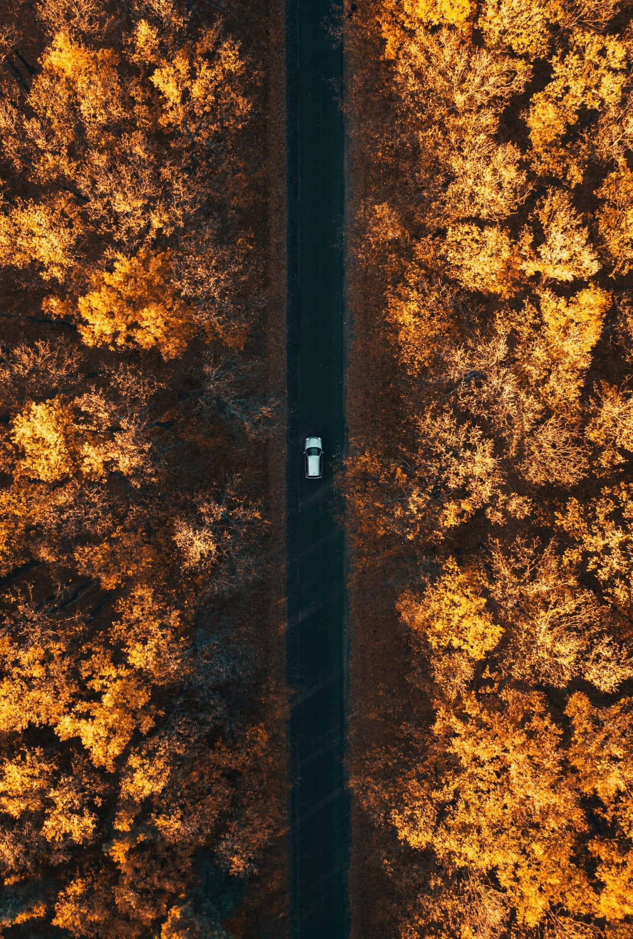 Download Vintage Autumn Aerial View Car Wallpaper