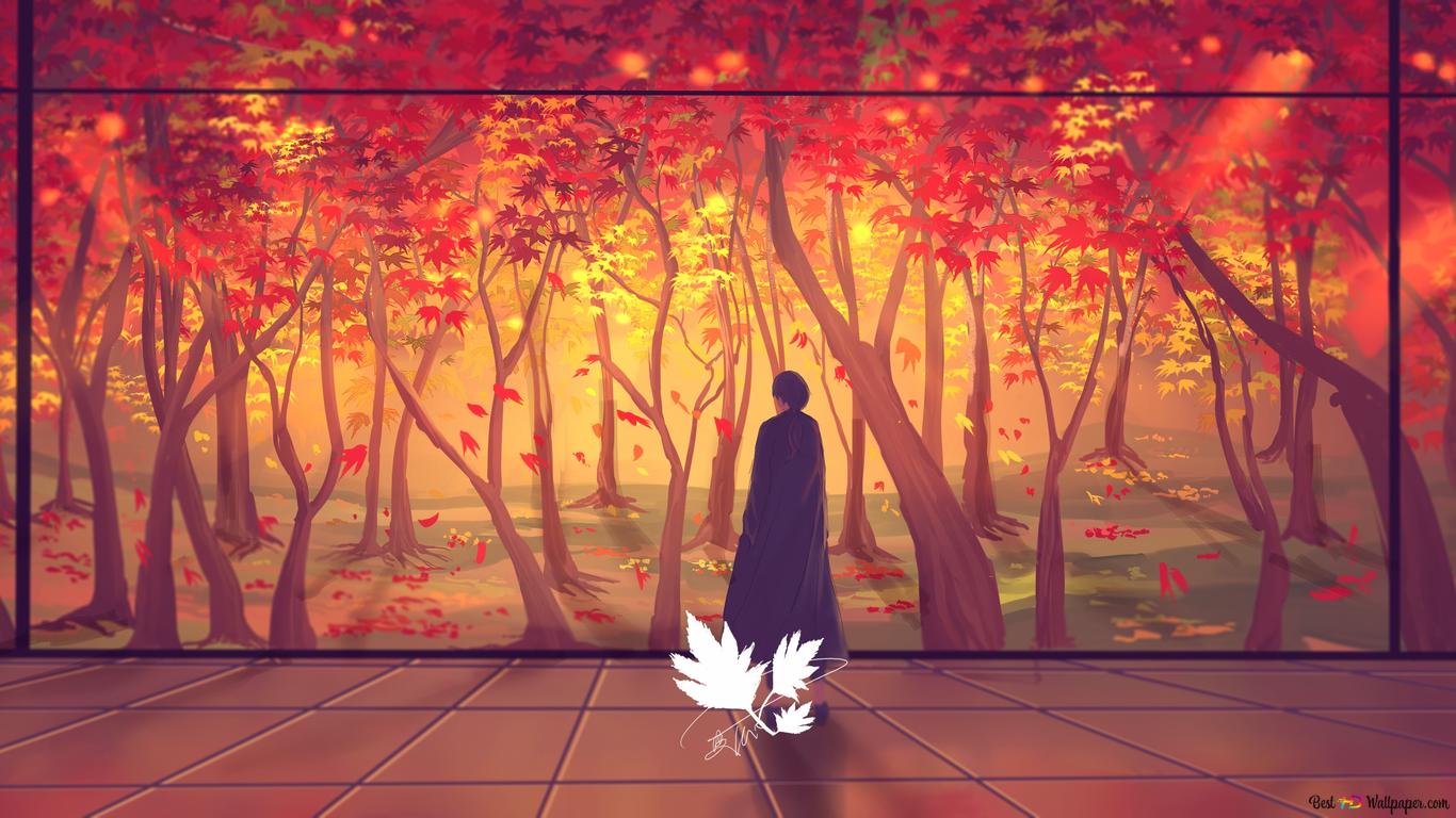 Autumn Leaves Wall 4K wallpaper download