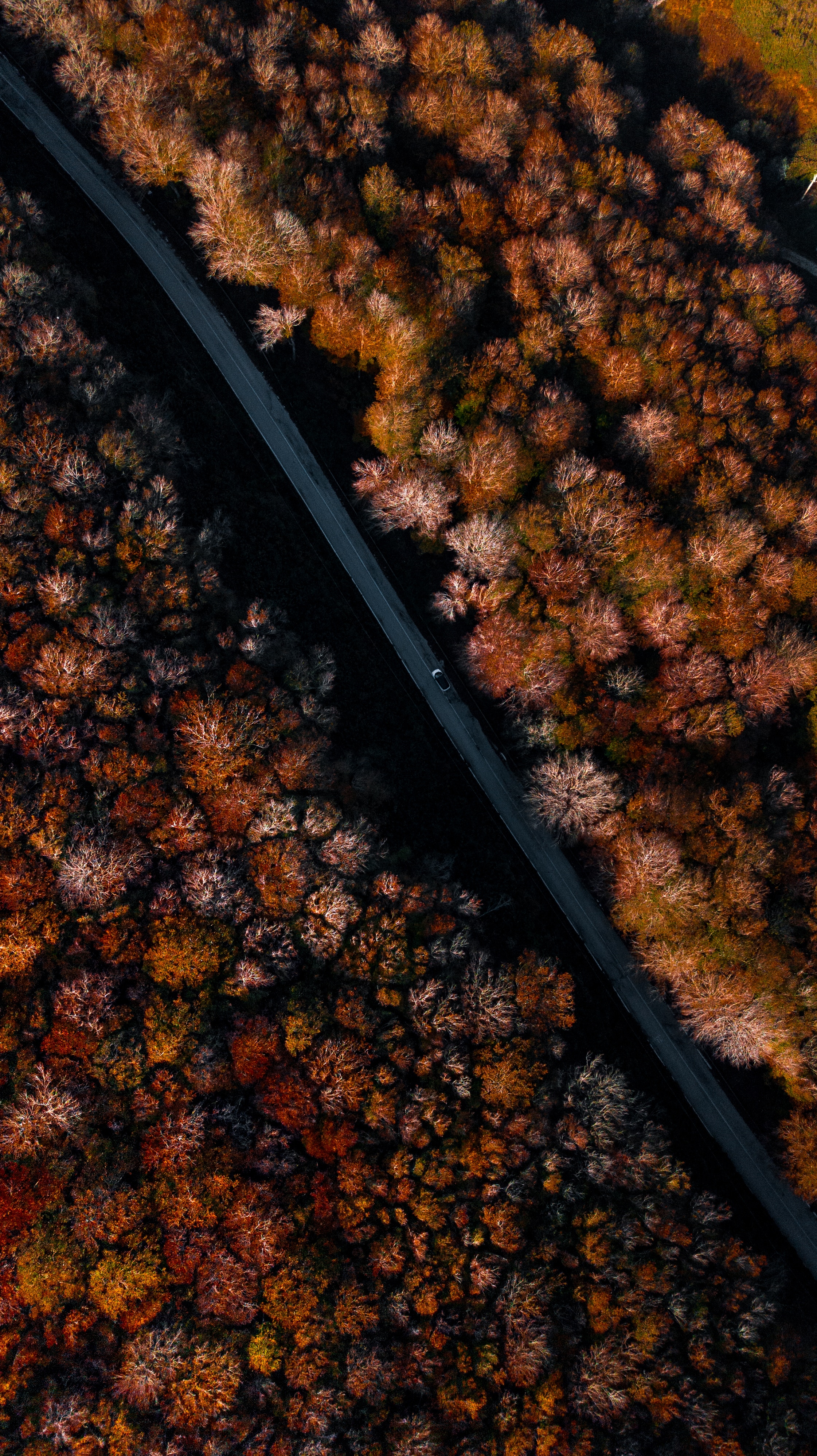 Phone wallpaper: Forest, Autumn, Road, View From Above, Nature, Trees 151536