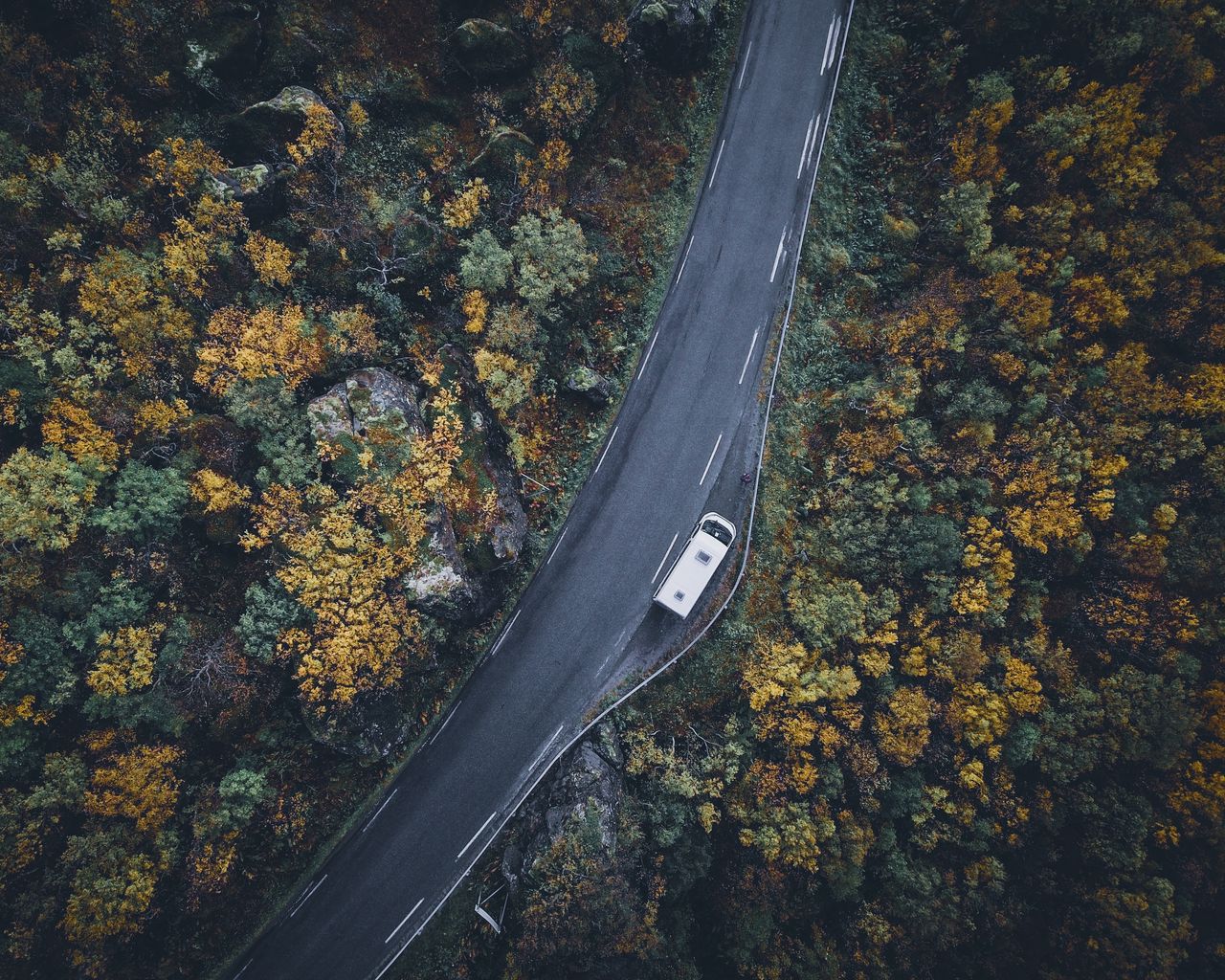 Download wallpaper 1280x1024 road, top view, trees, autumn, car standard 5:4 HD background