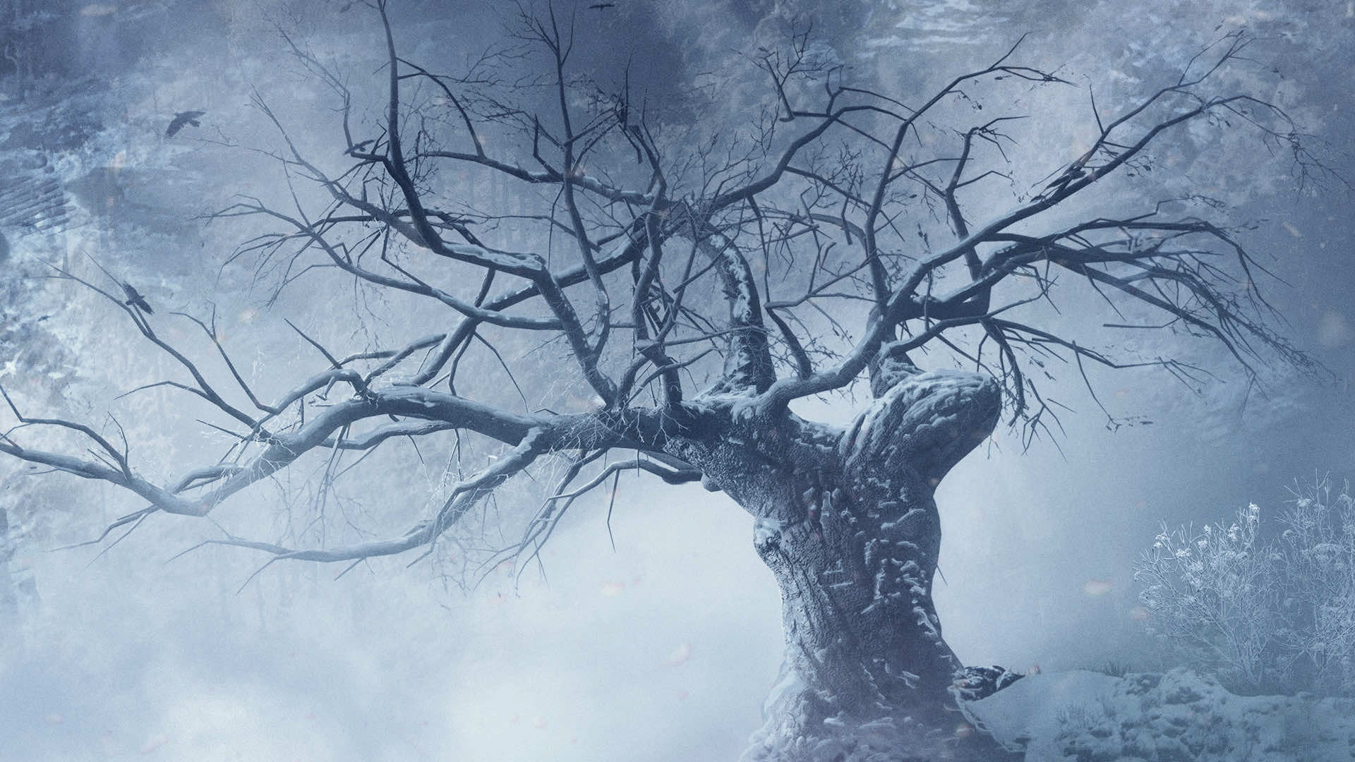 Two Dots · Creative Studio Legacy Winterized Version