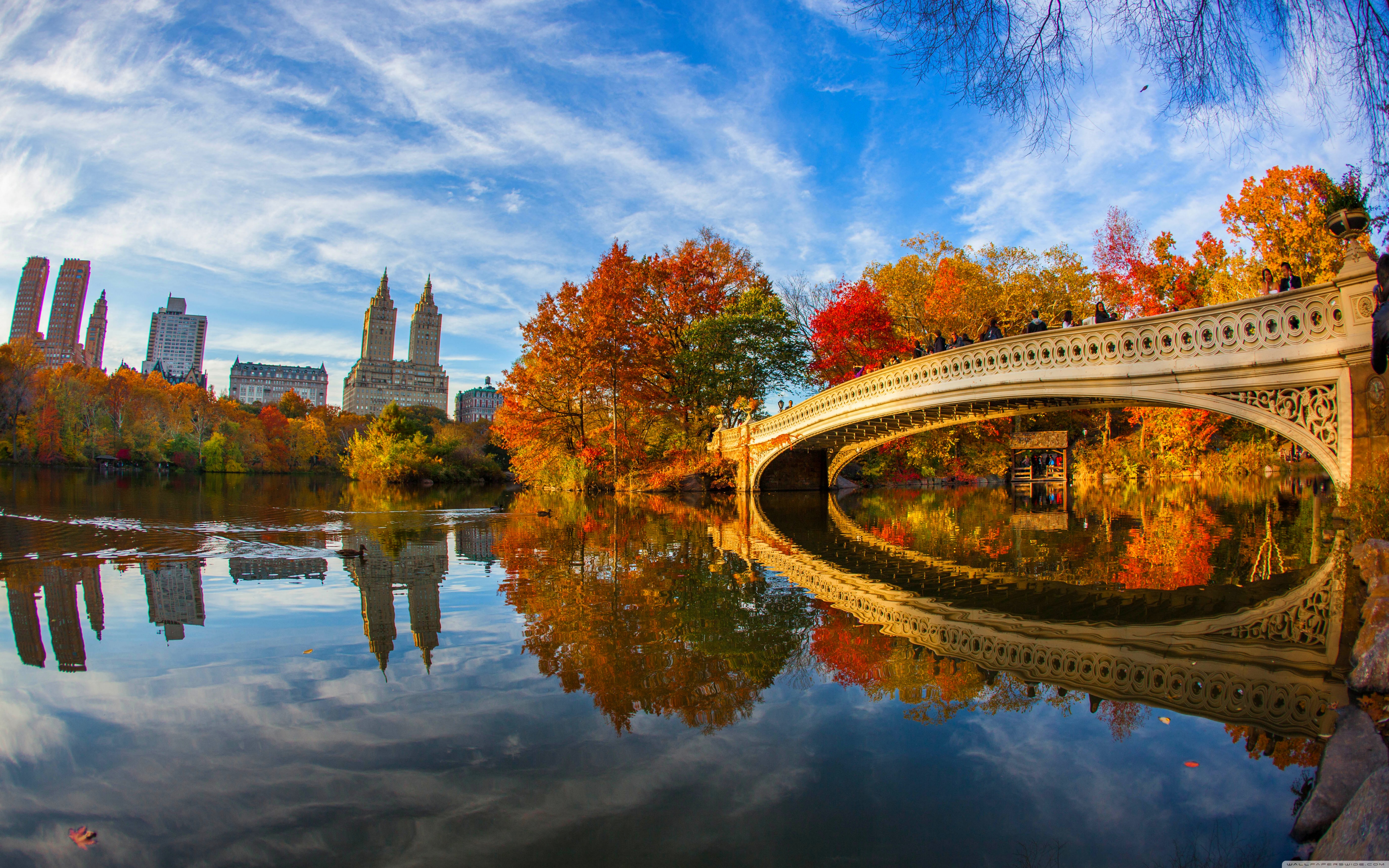 Fall Foliage in Central Park New York City 4K UHD Wallpaper for UltraHD Desktop and TV, Widescreen and UltraWide Display, Dual Monitor, Smartphone and Tablet Devices