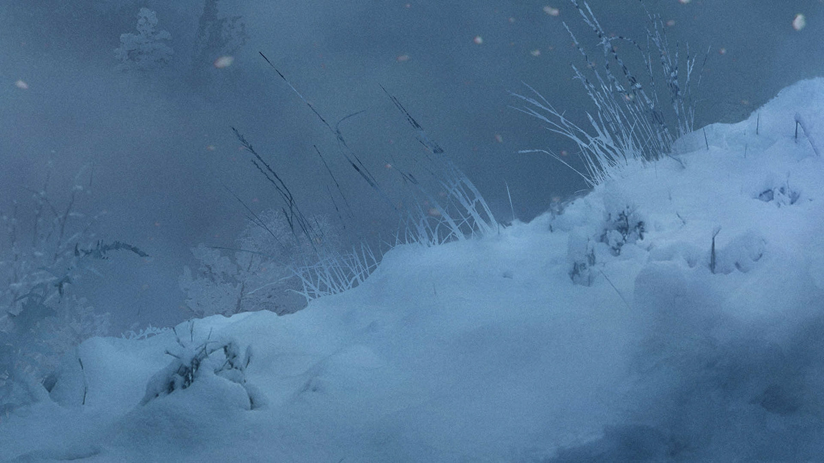 Hogwarts Legacy Winterized Version - Behance