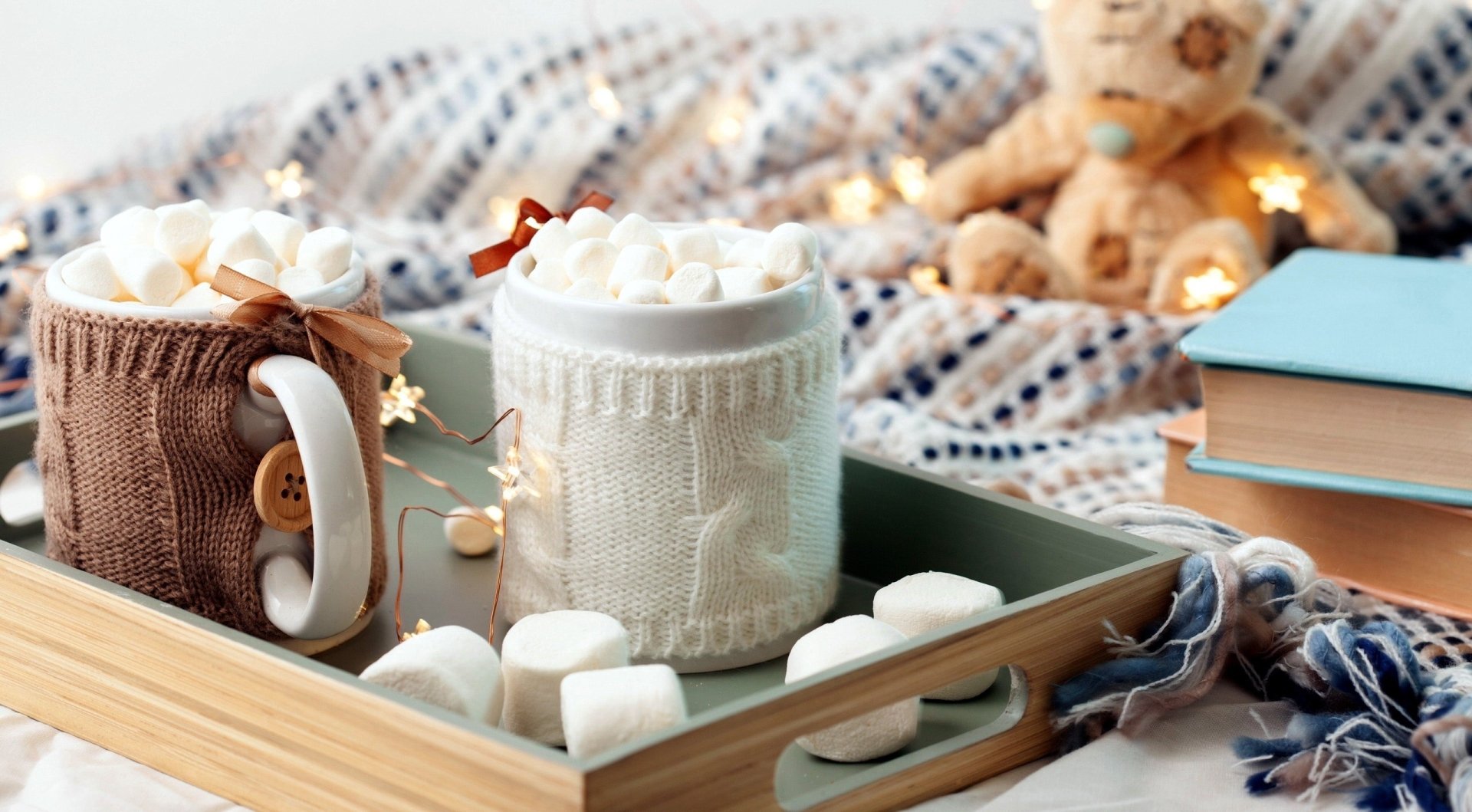 Cozy Marshmallow Hot Chocolate Still Life
